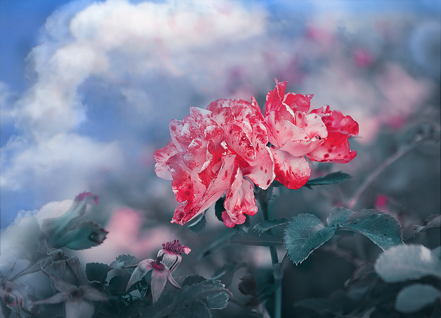 IMG_5182_Plastic_flowers_light_flat3_facebook.jpg