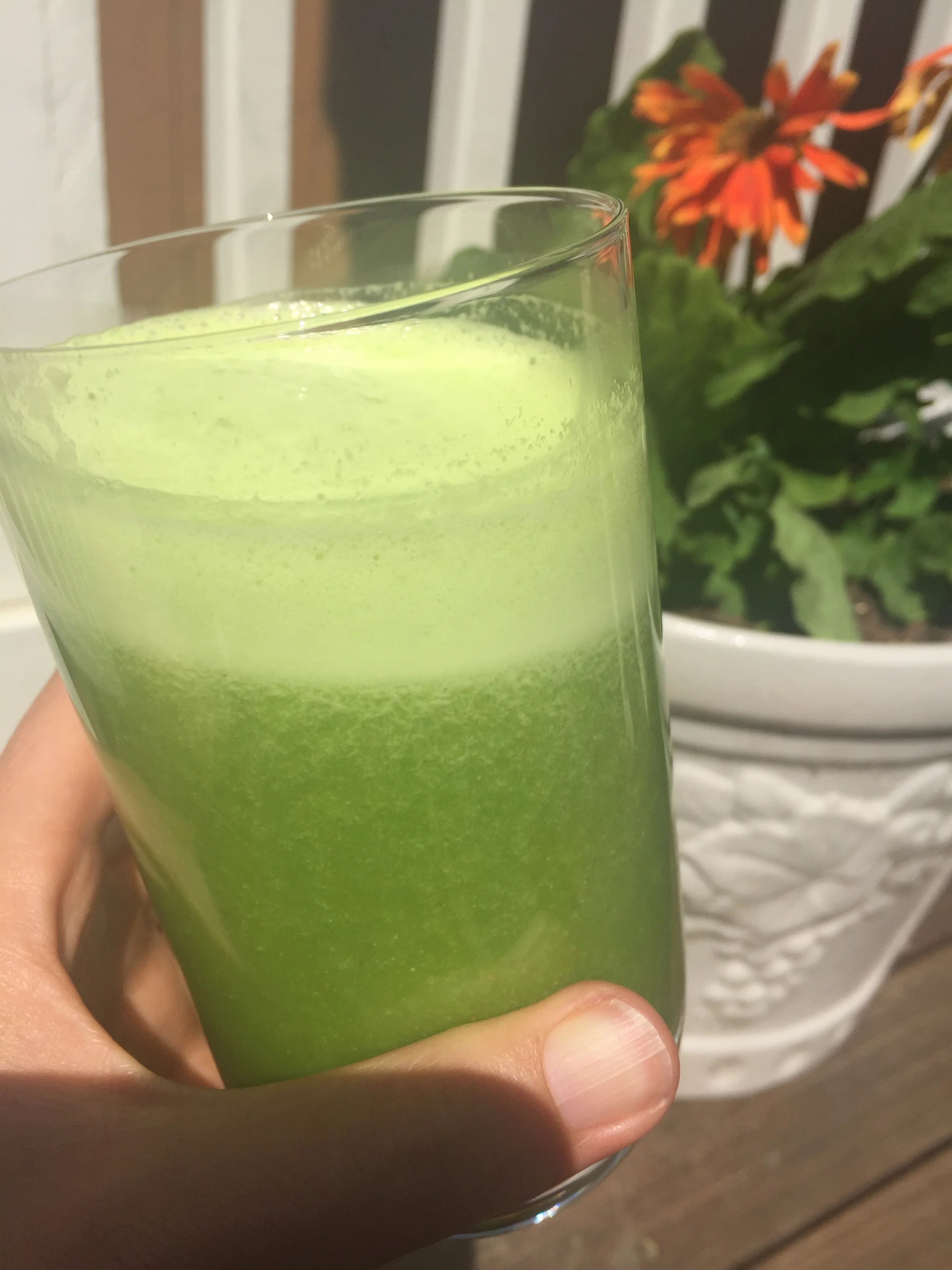 Green Smoothie Workshop