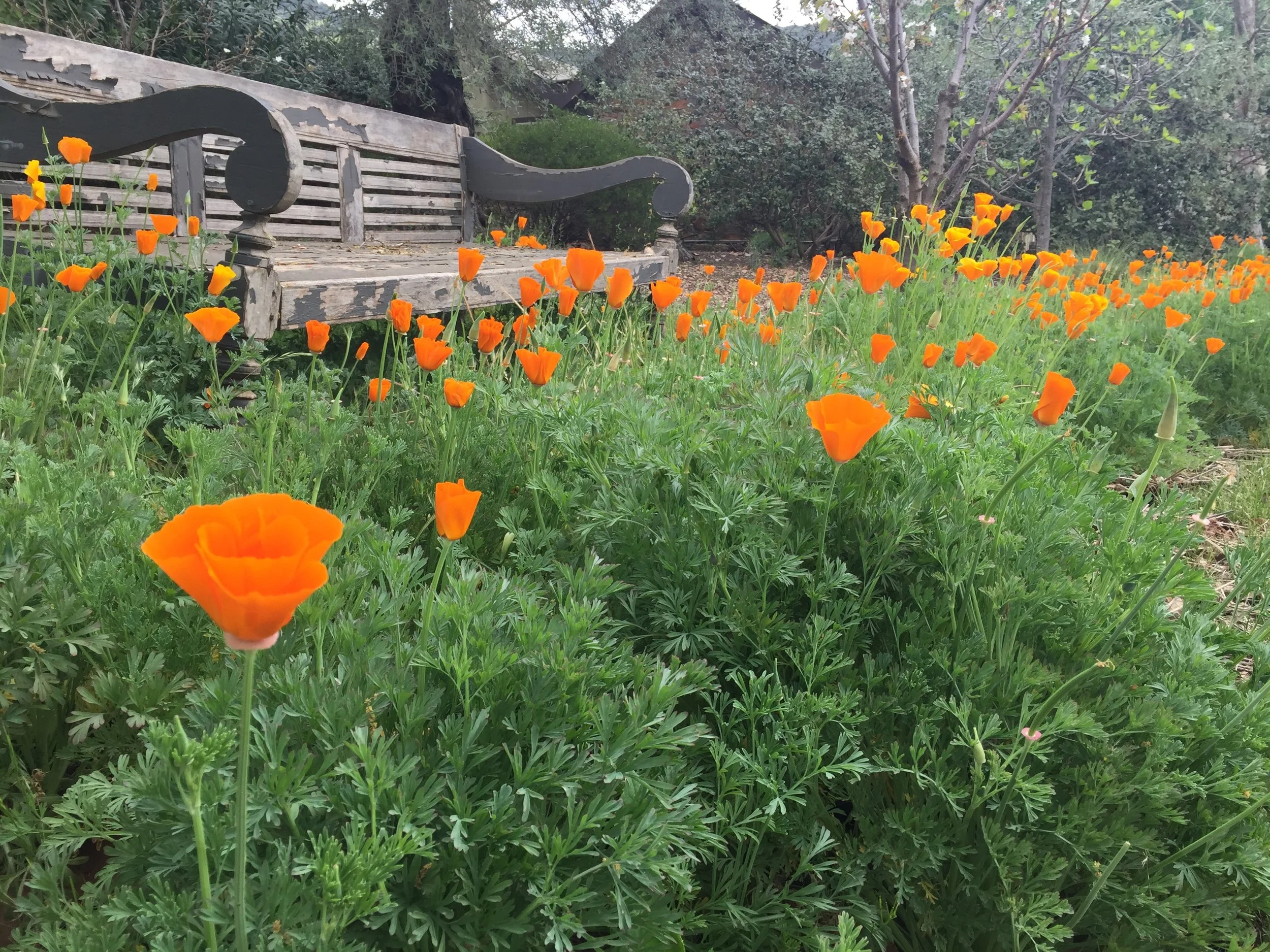 It's Spring! So why do I feel sluggish?