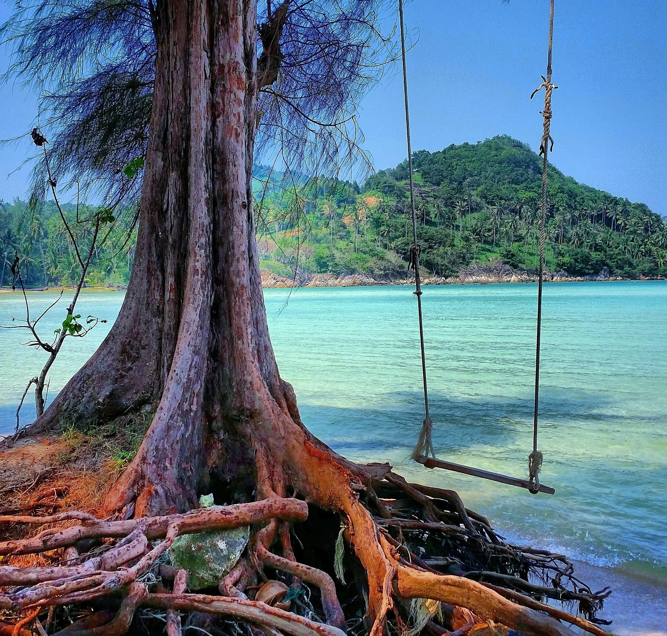 Introduction to Meditation