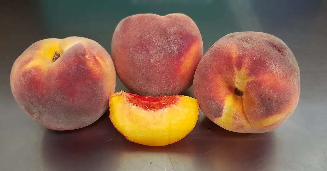 Organic Colorado peaches! 🤩