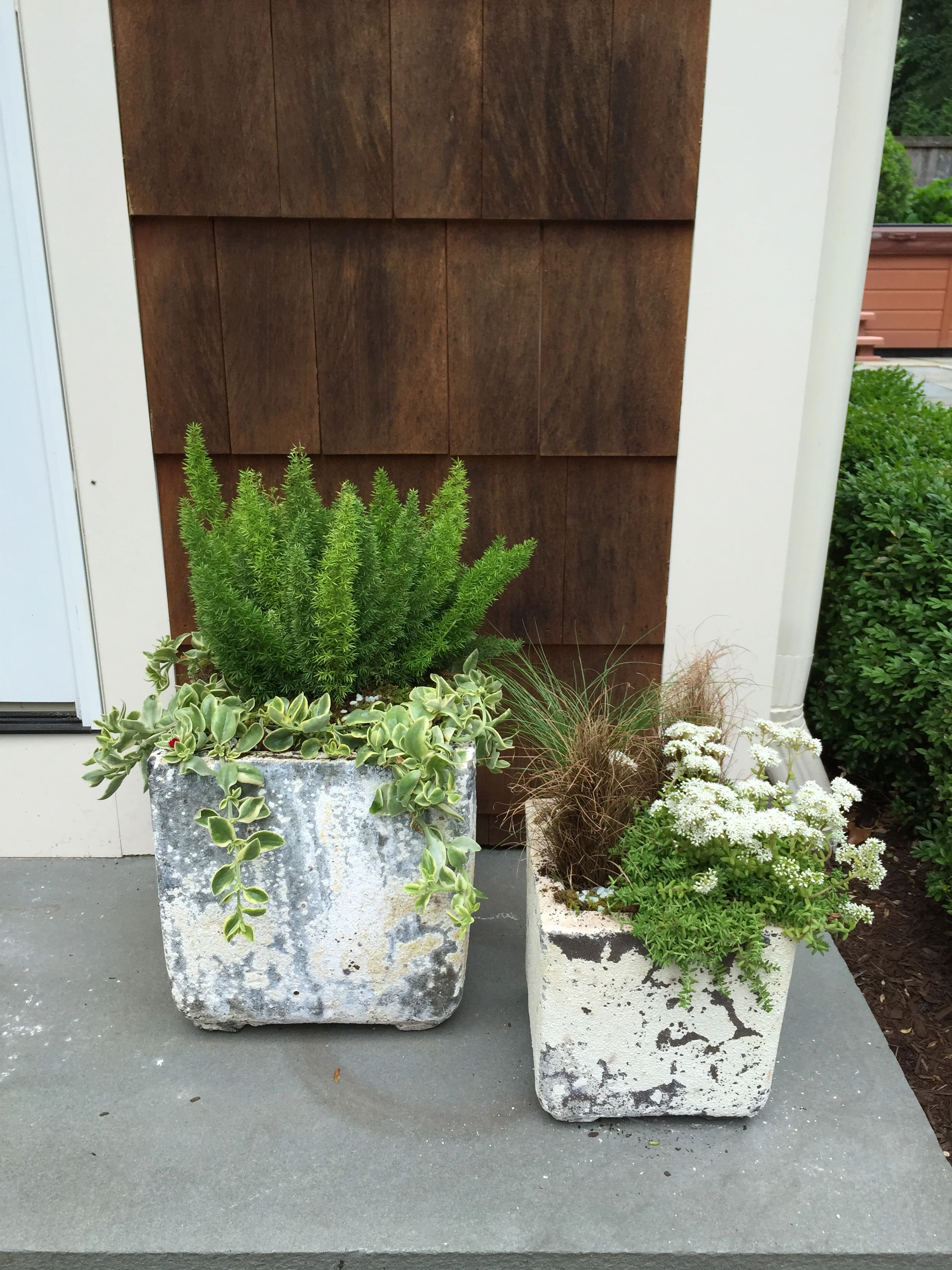 Exterior_IMG_0361.jpg