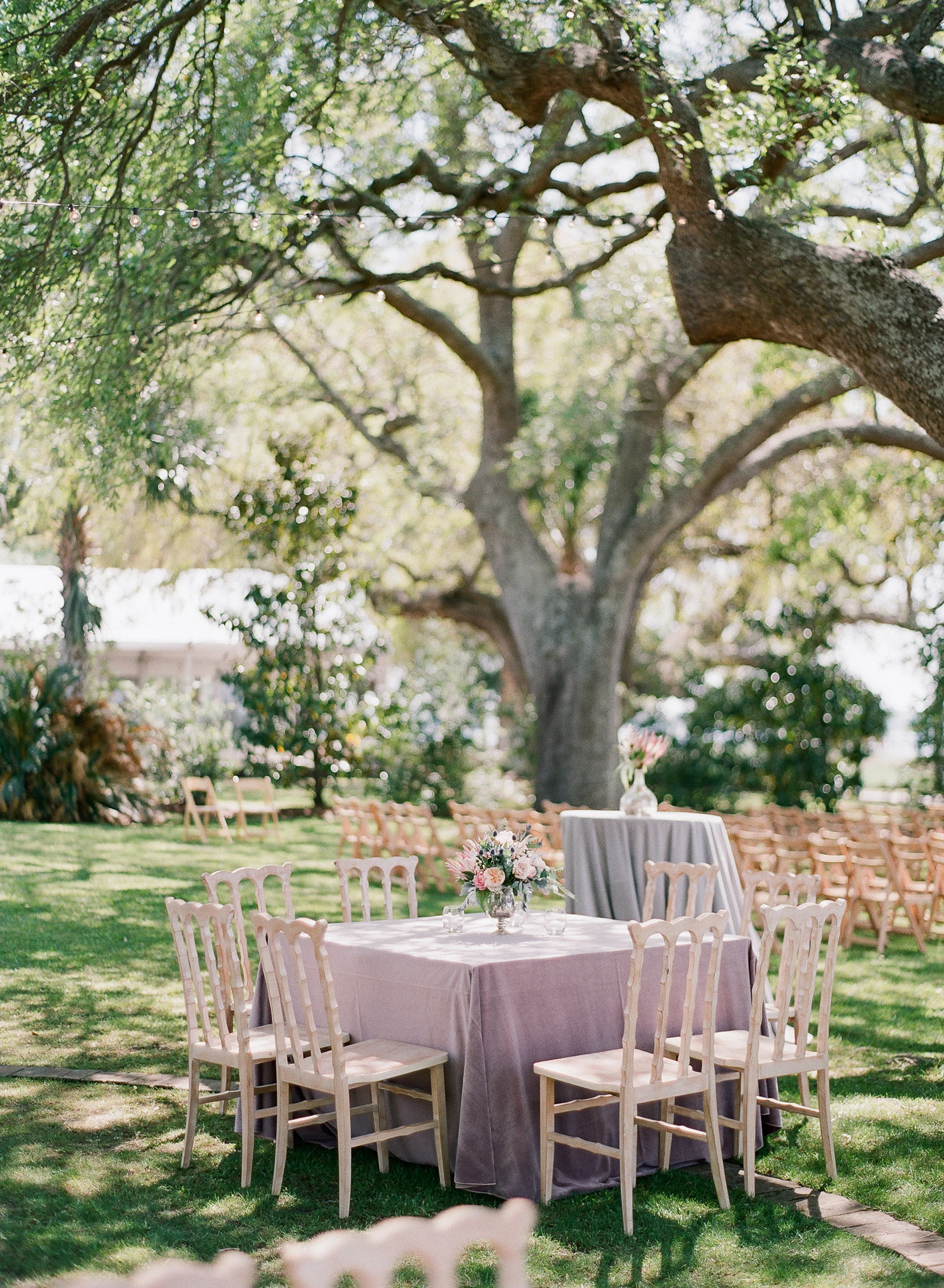 paraiso-event-design-morgan-danny-charleston-wedding-lowndes-grove-spring-00.jpg