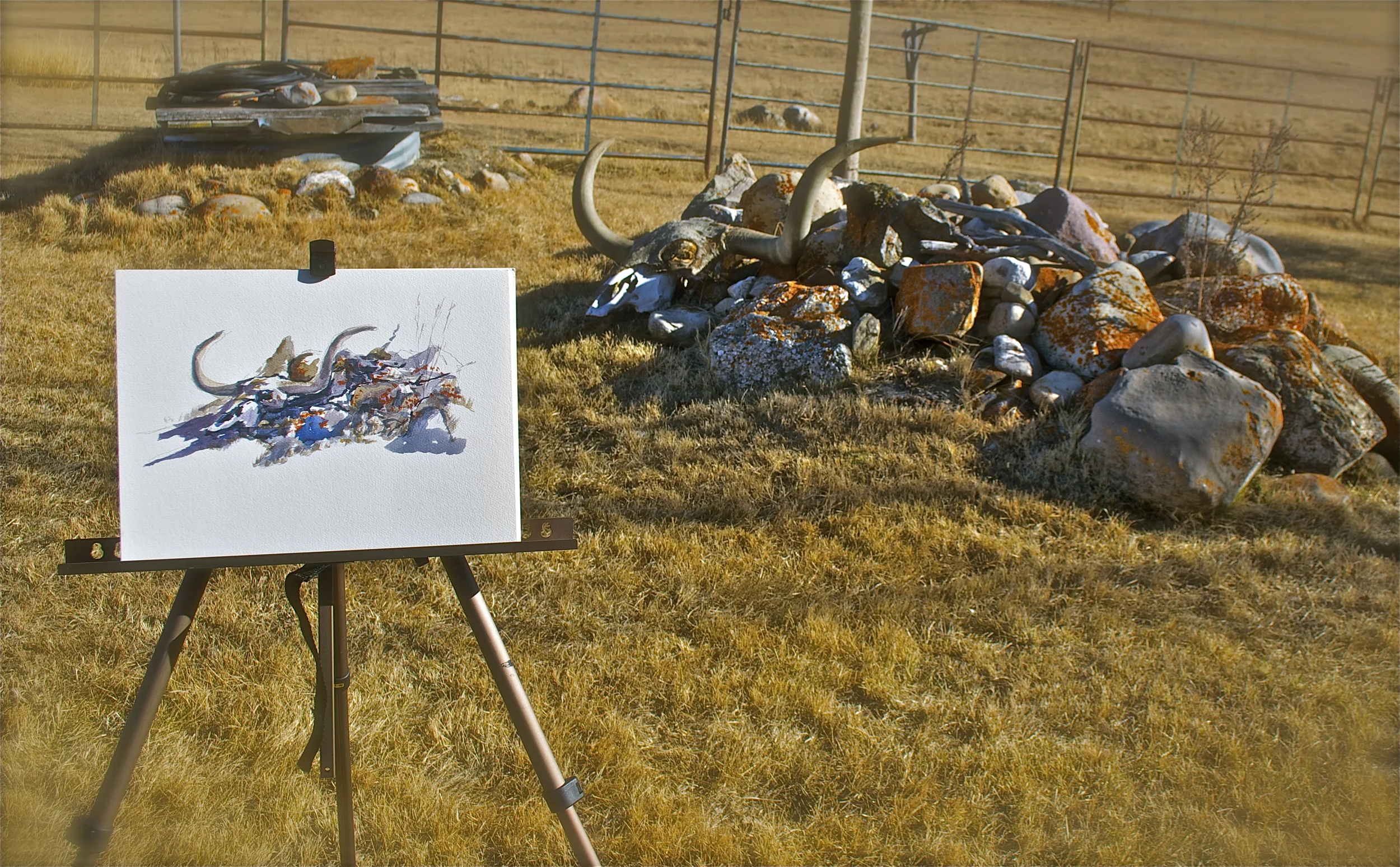 First watercolour sketch of Billy's remains.