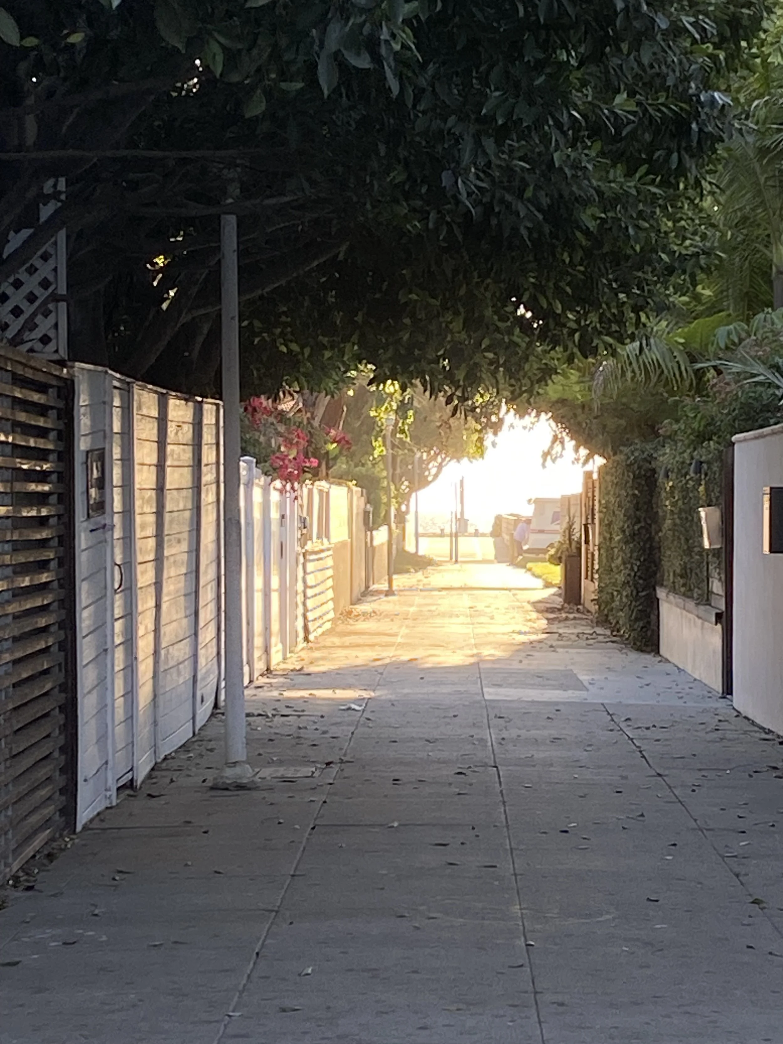 Venice Beach at Sunset