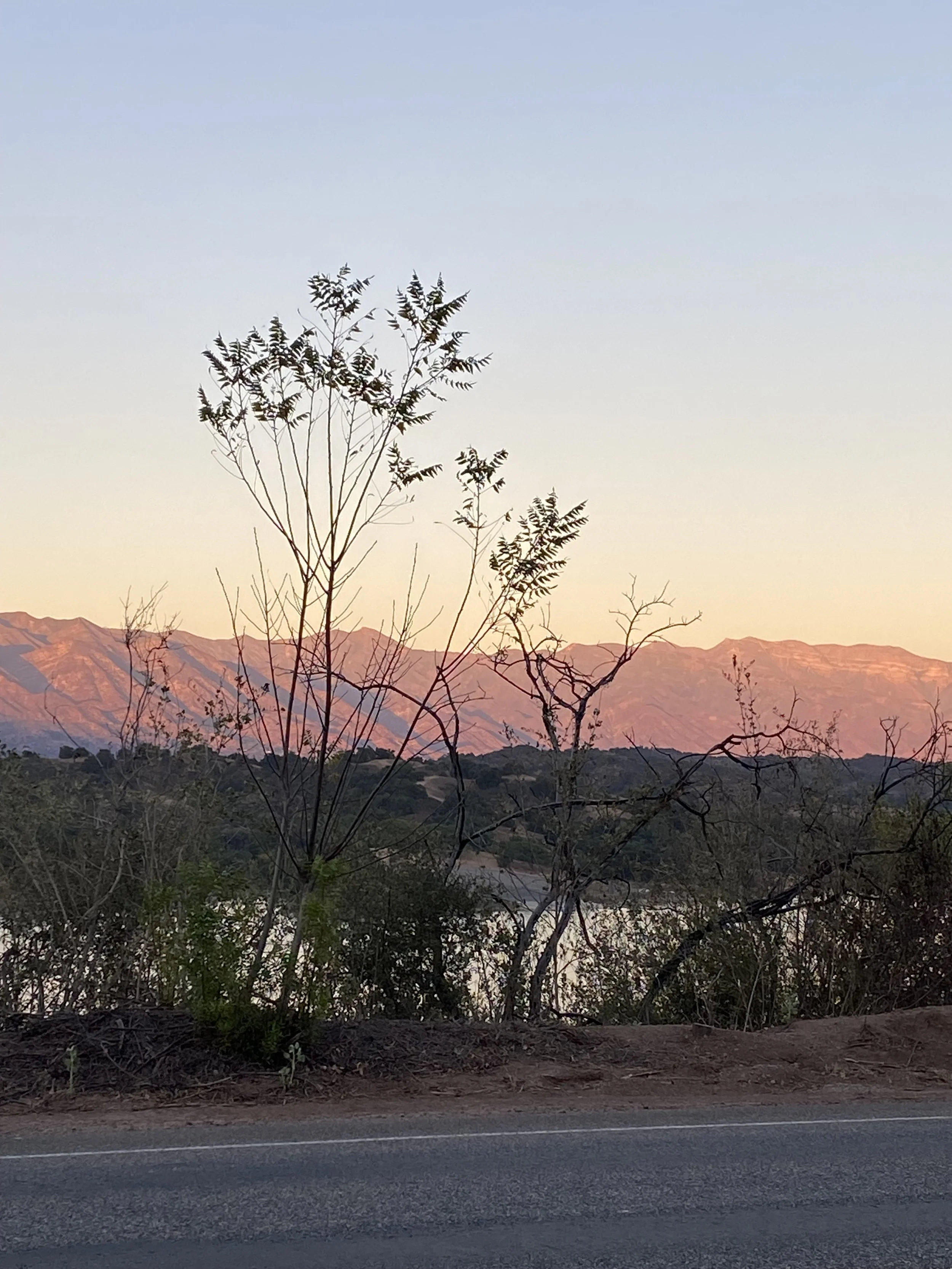Pink Moment leaving Ojai