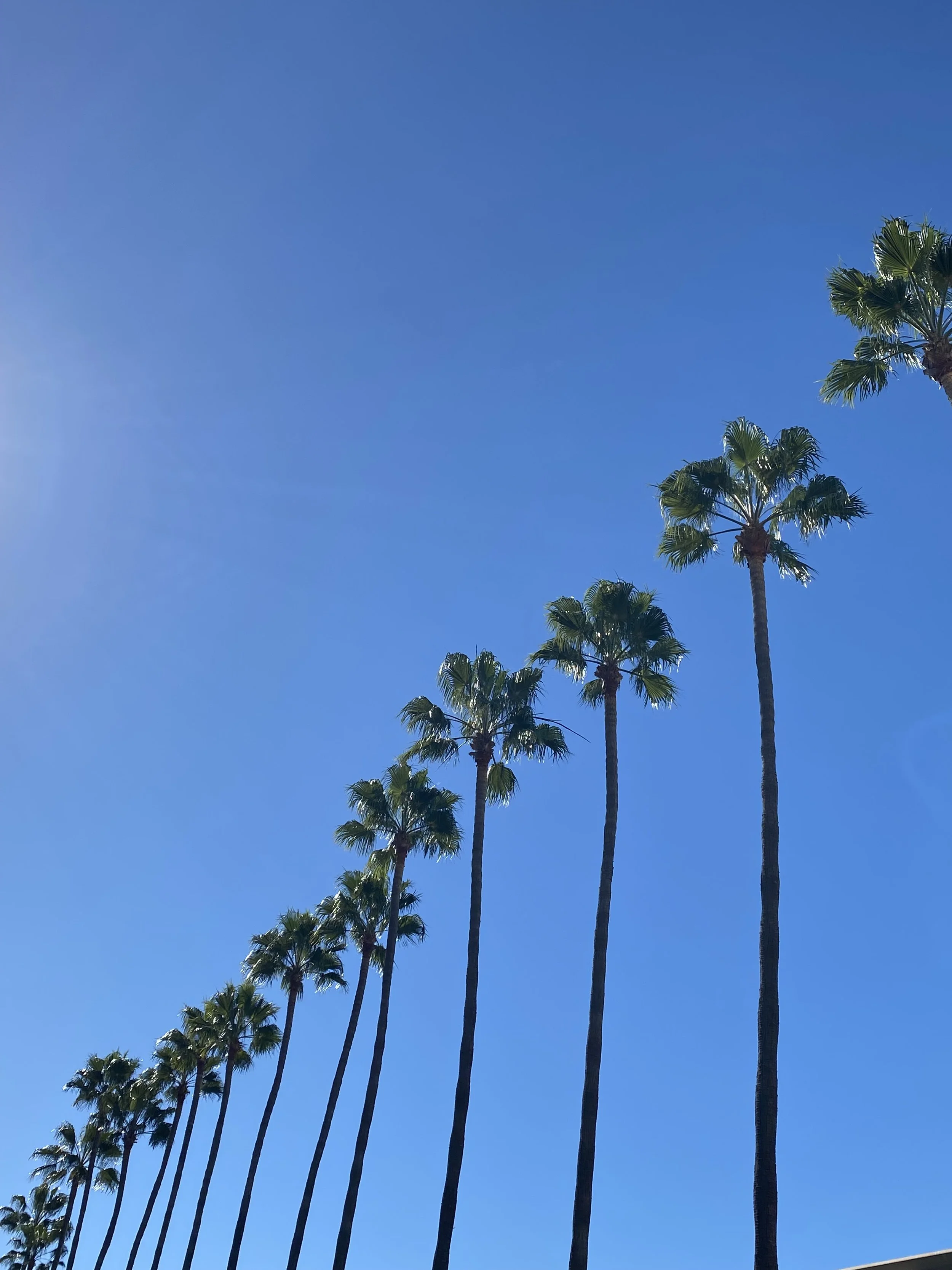 Fashion Island, Newport Beach