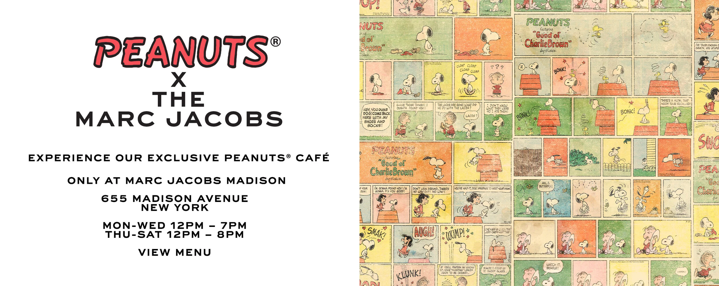 20190903_LP_Peanuts_DESKTOP_V2.jpg