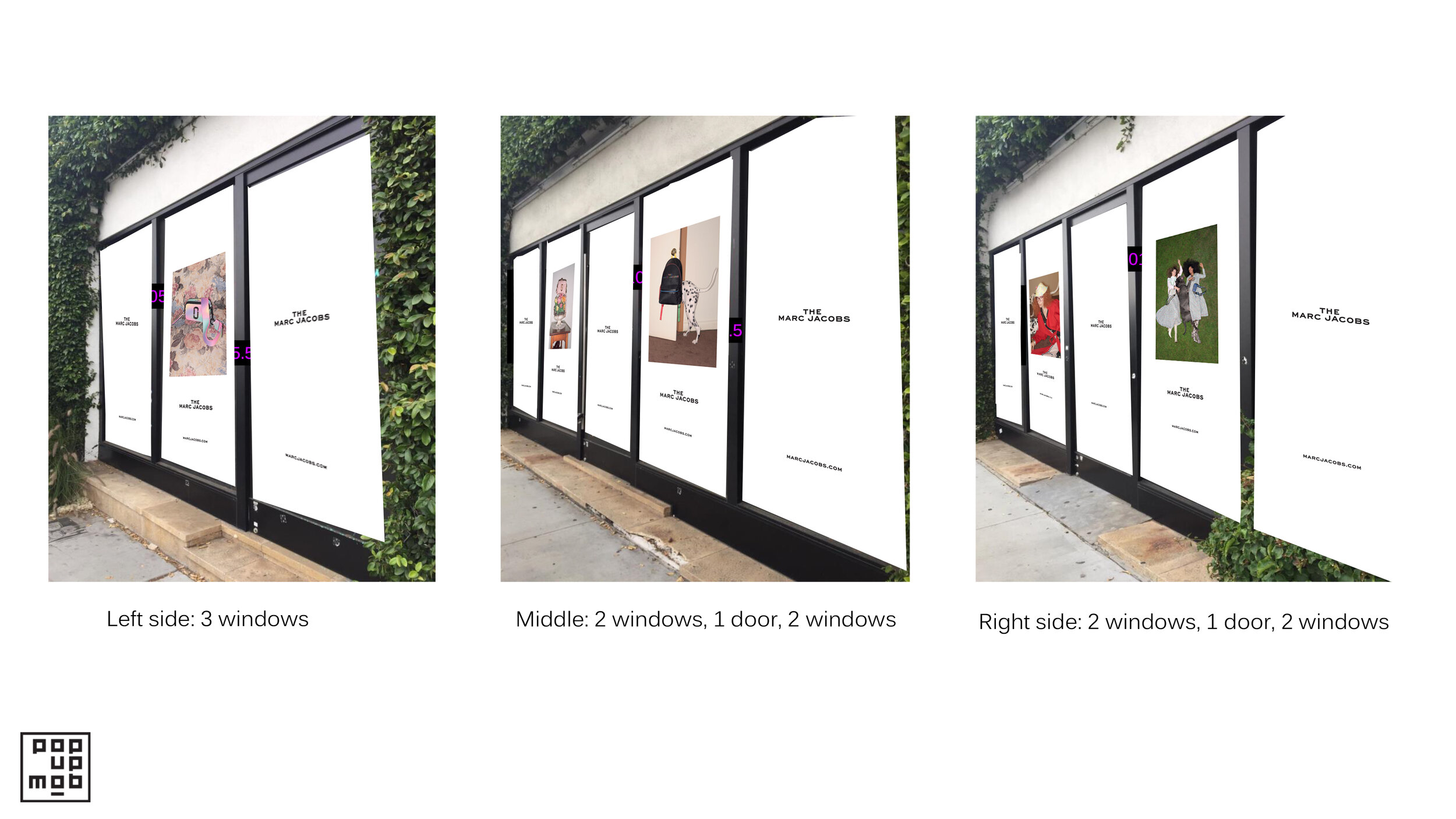 DVF_Windows.jpg