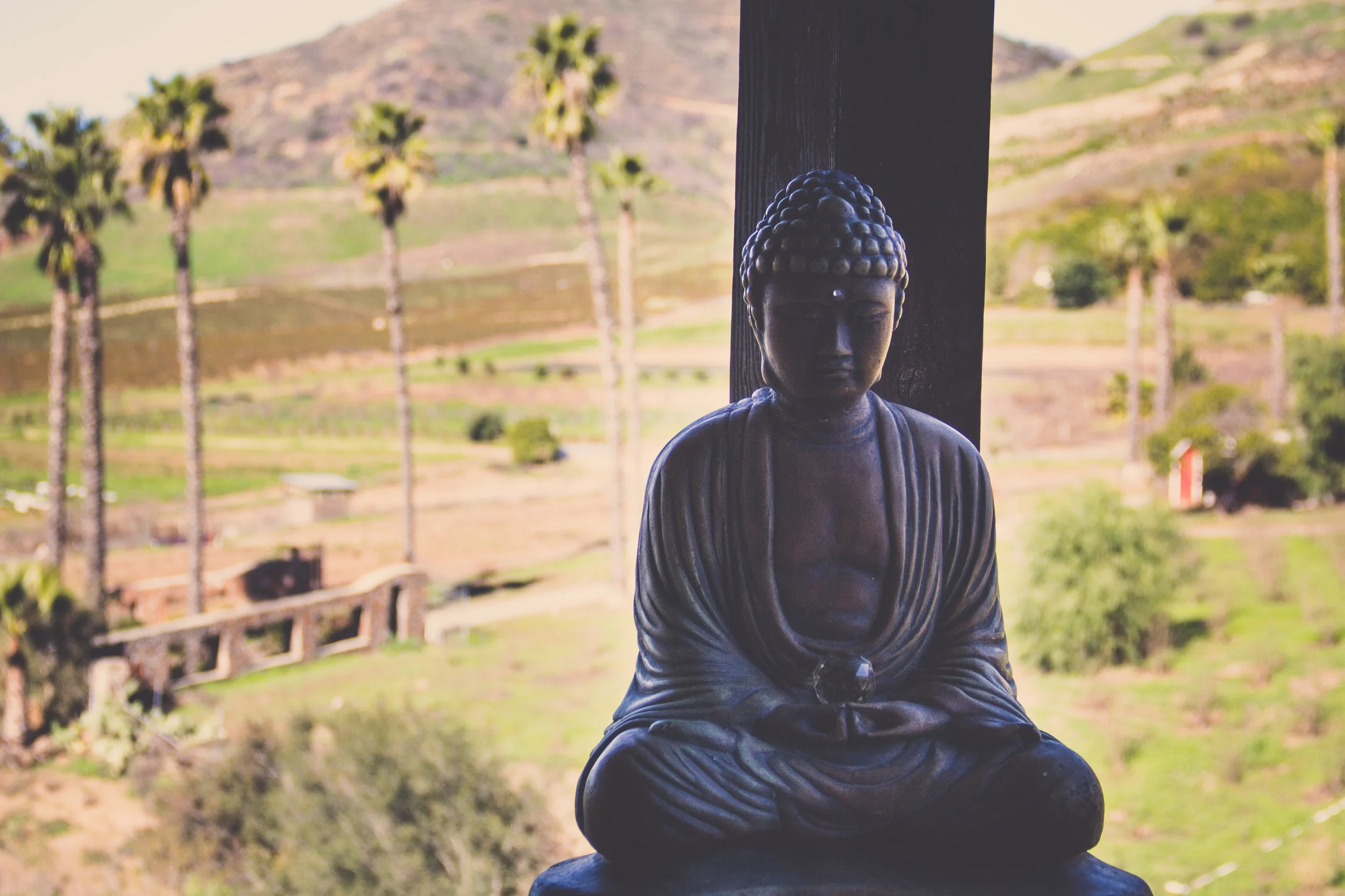 *buddha1.jpg