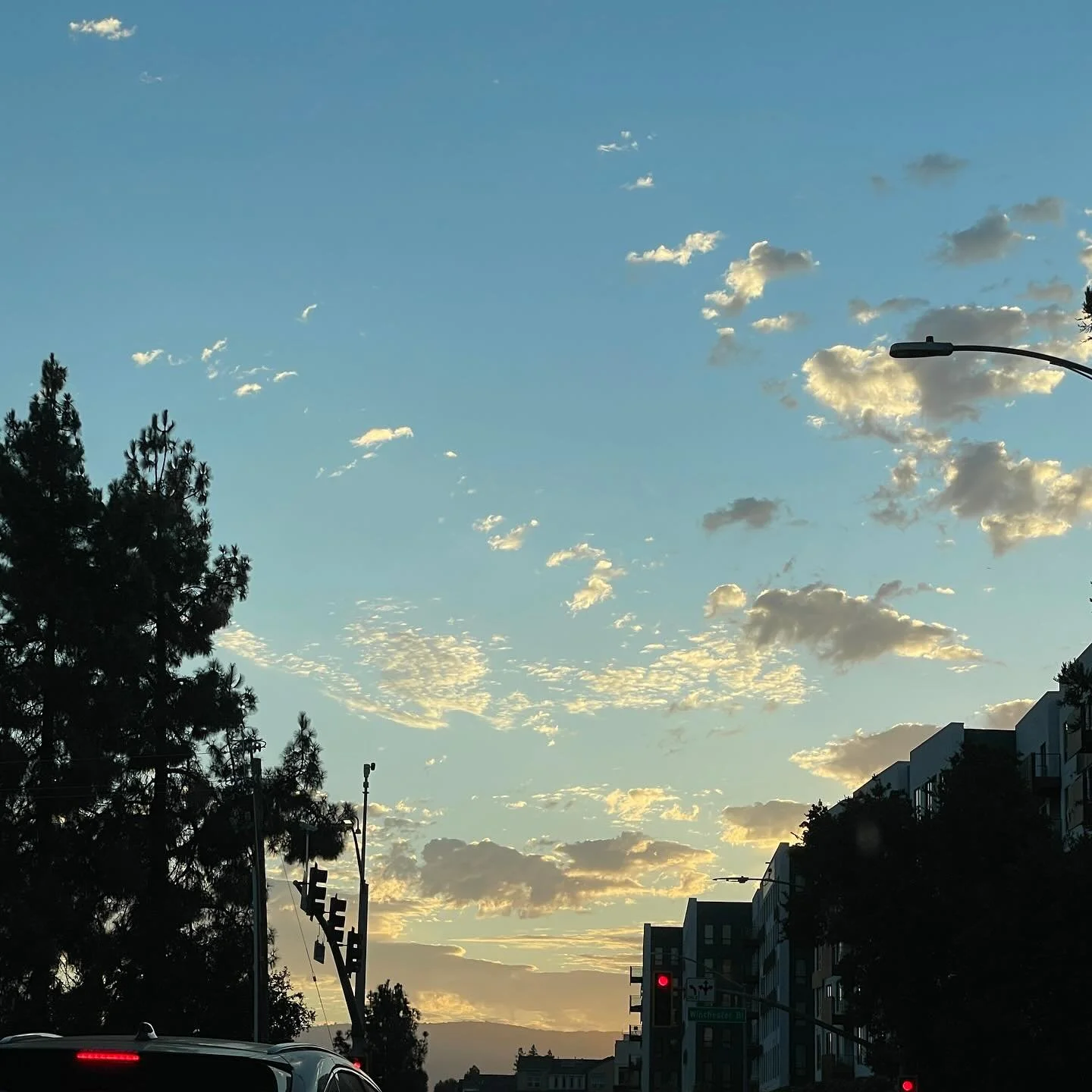 California skiiiiiiiieeeeeeeeeeees
#goldenhour #california #sunset