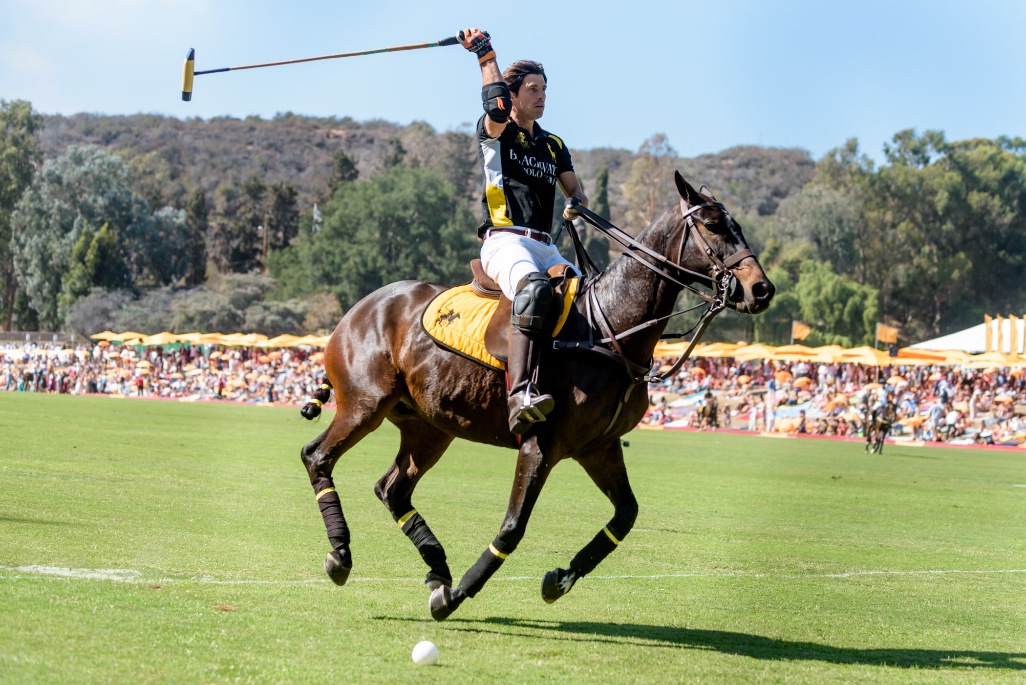 VC_Polo_2016 (3178 of 229).jpg