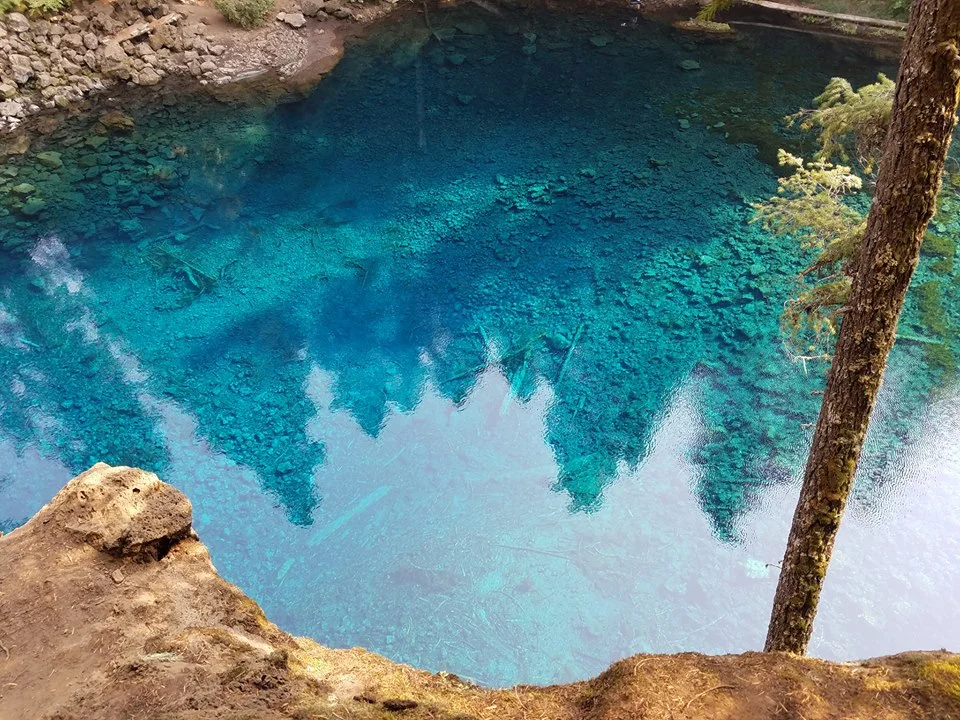 No filter! No saturation boost!!! About 30 feet deep and crystal clear.