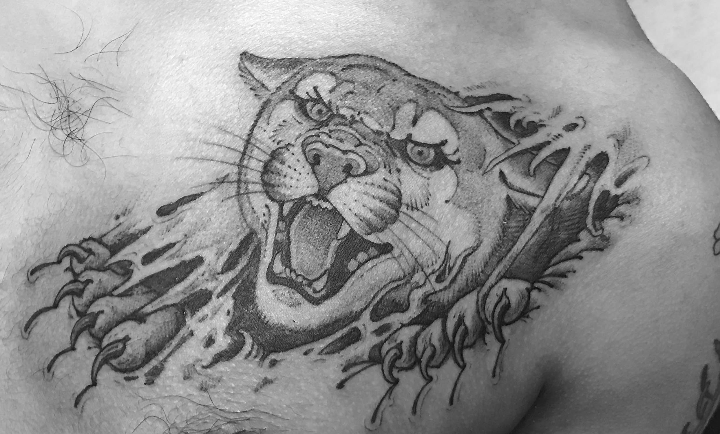 Dave Richardson, Elizabeth Street Tattoo, cat, tattoo.jpg