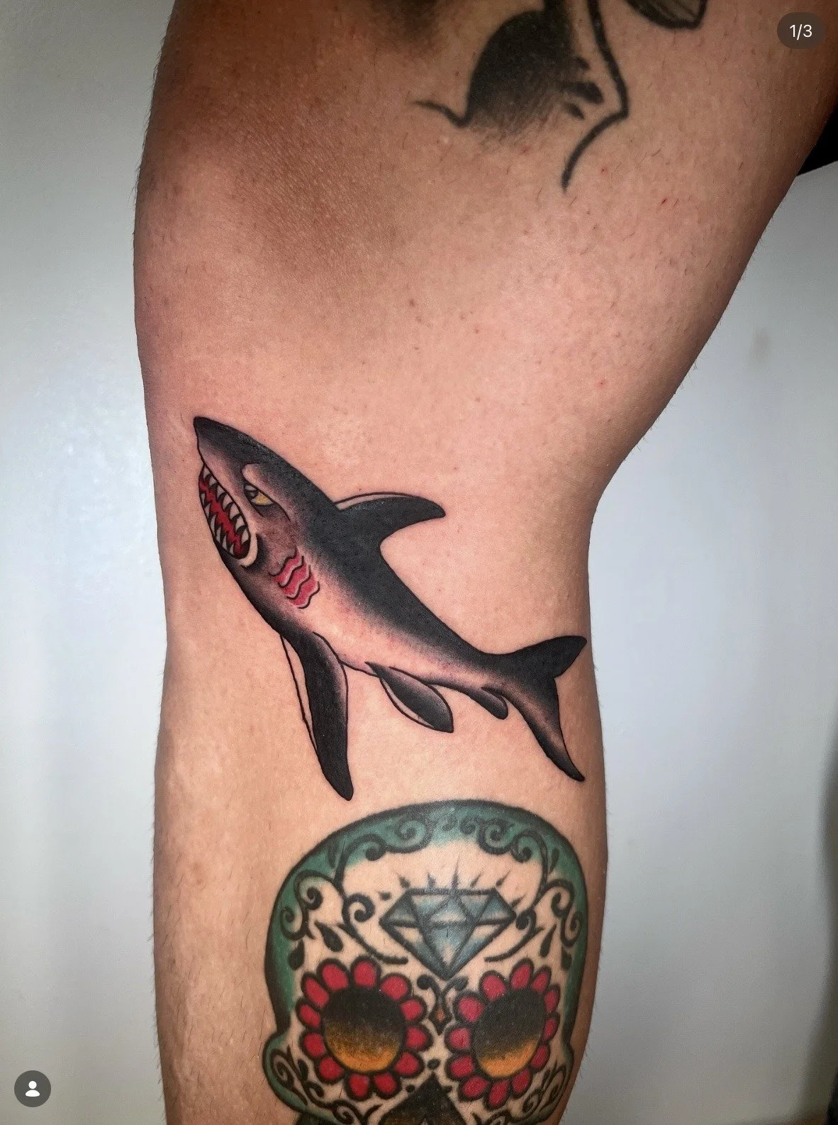 clay-wendel-riverside-tattoo-elizabeth-st-sharktattoo-04.jpeg