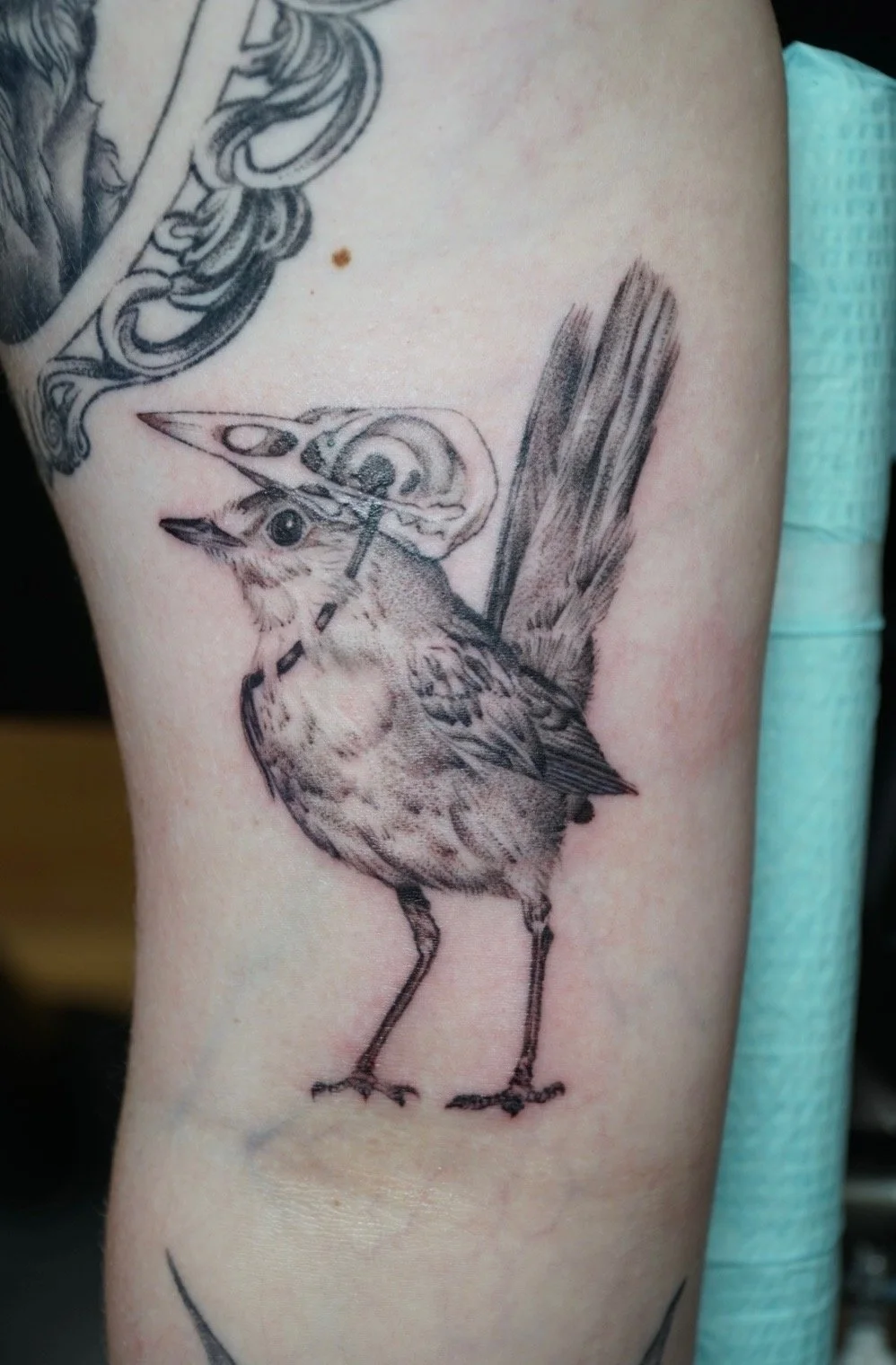 mina-young-bird-anatomical-fine-line-tattoo-elizabeth-street-tattoo-riverside-ca.jpg