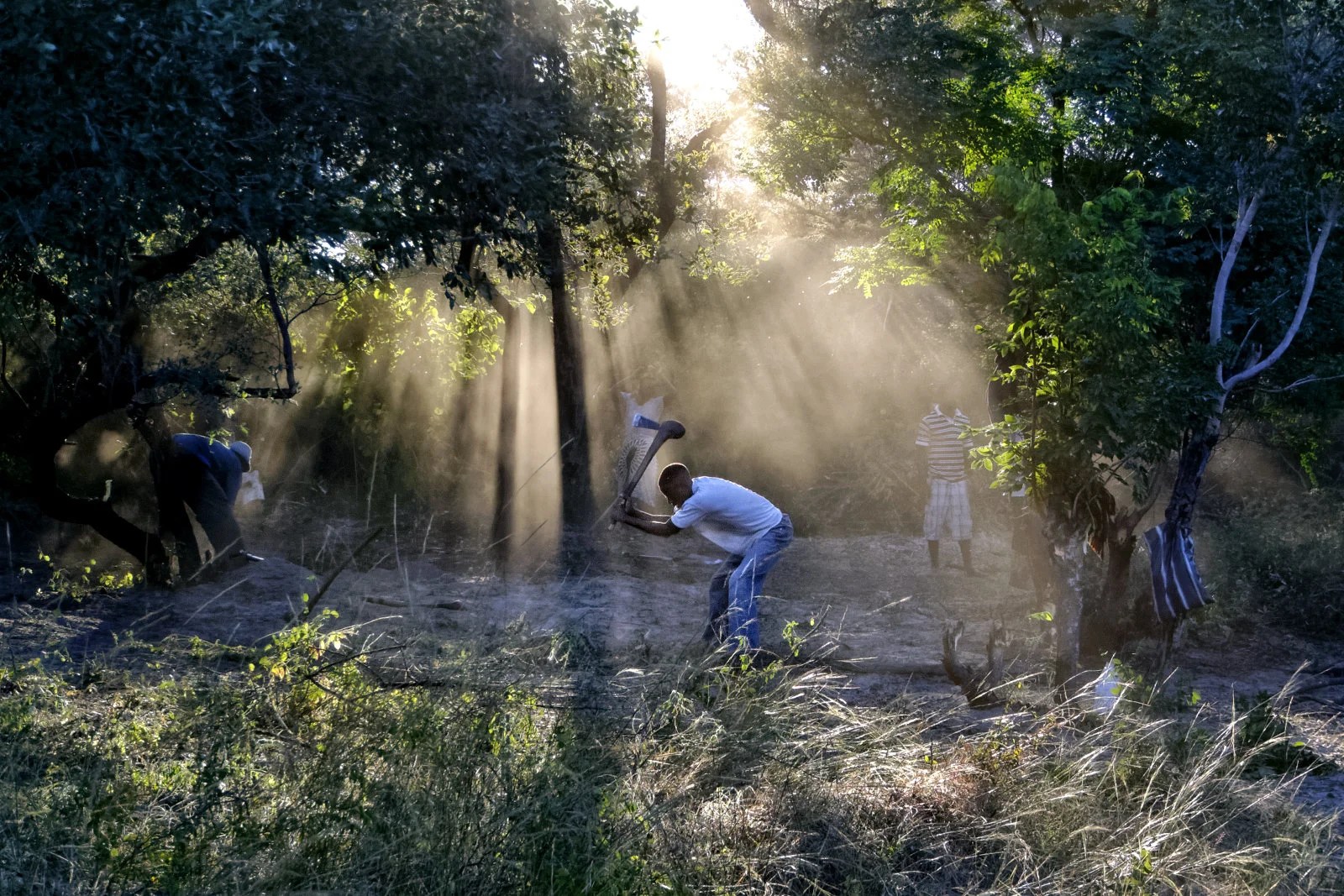 _DSC0975_DxO.jpg