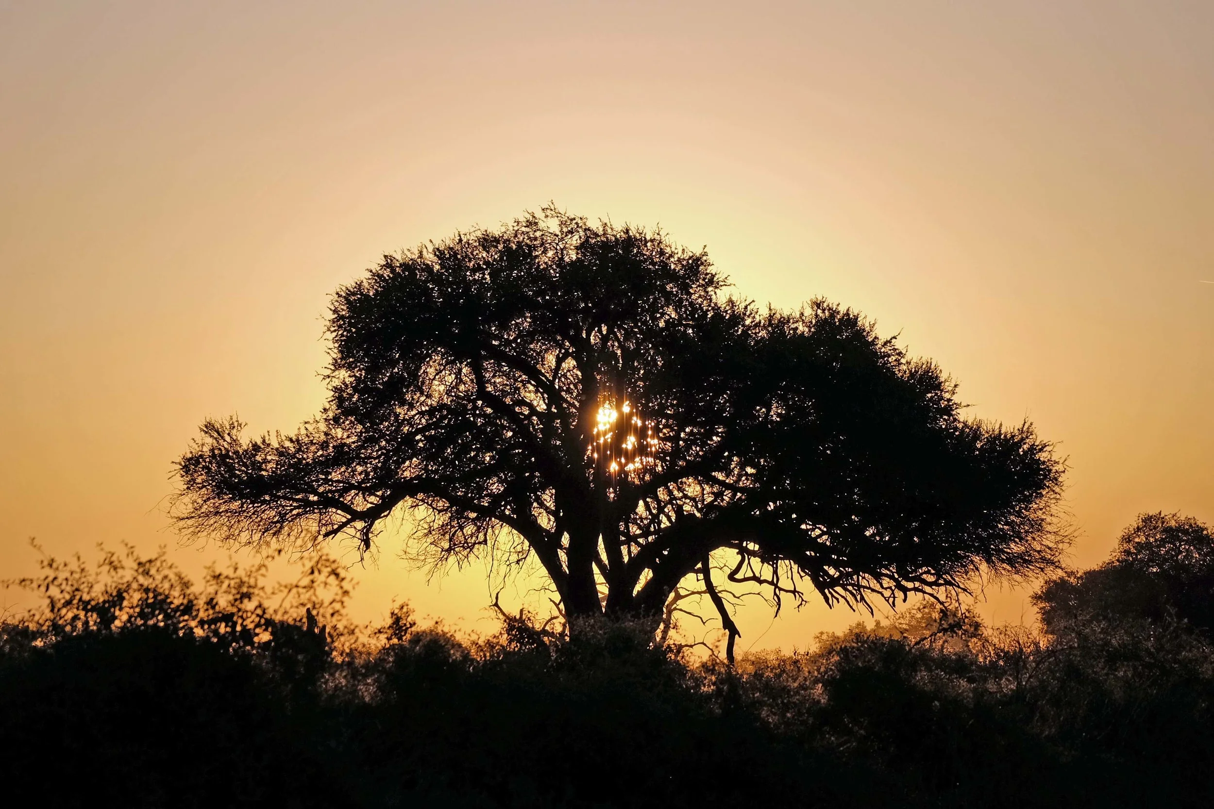 Sunset at Chobe