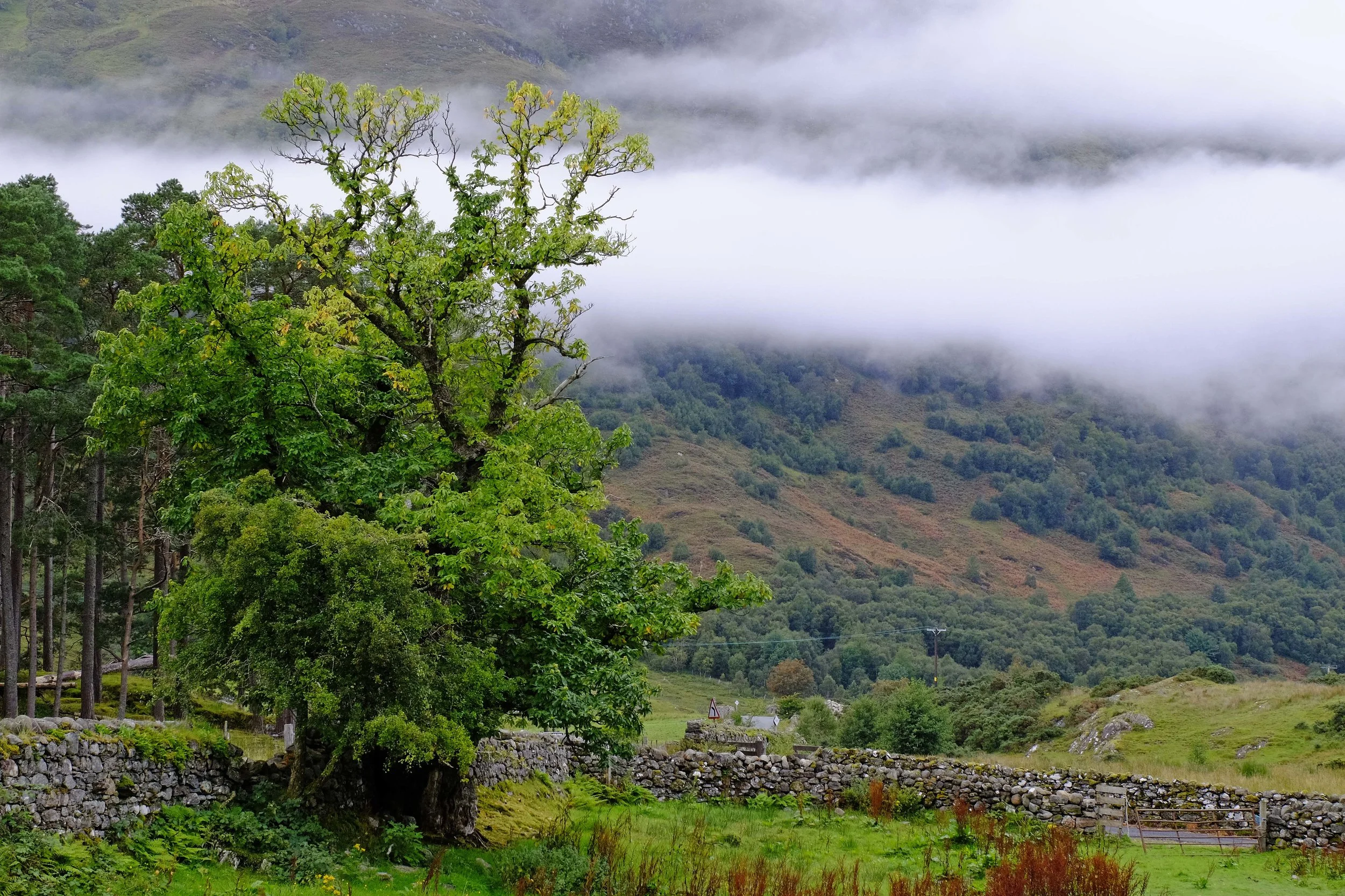 on the road to isle of skye