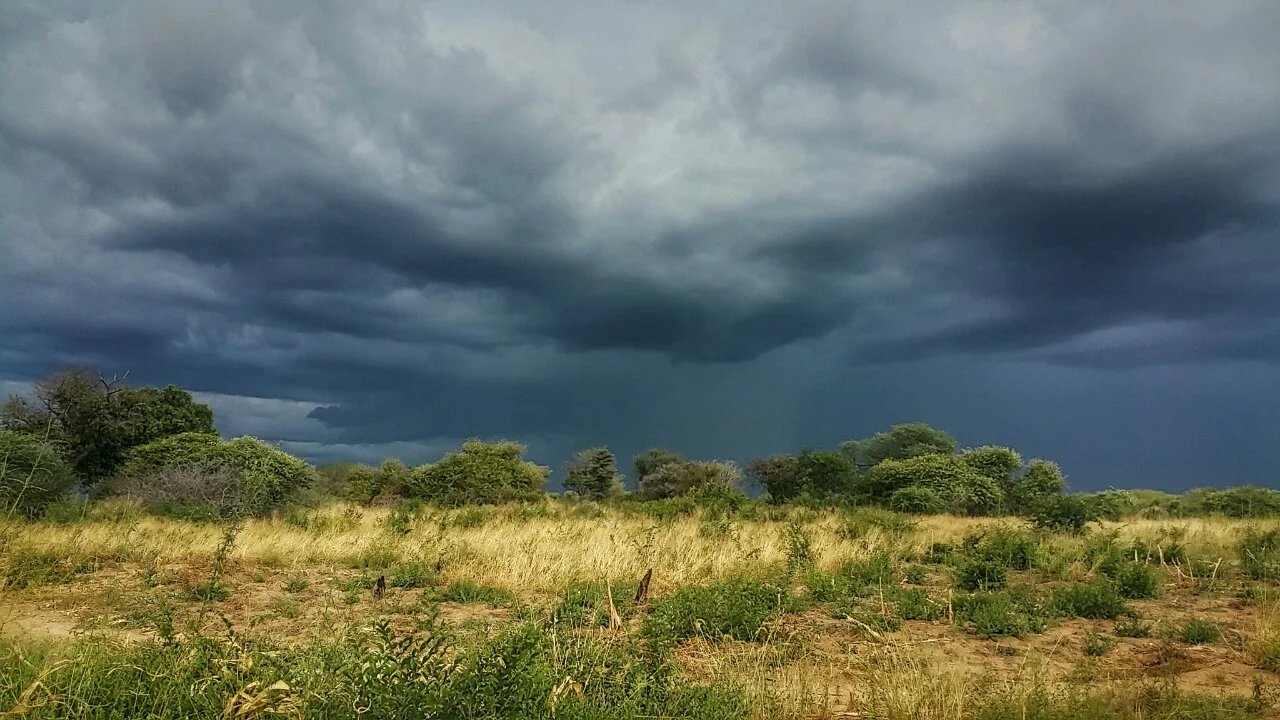 The rains came and with them some much needed cooler weather. 