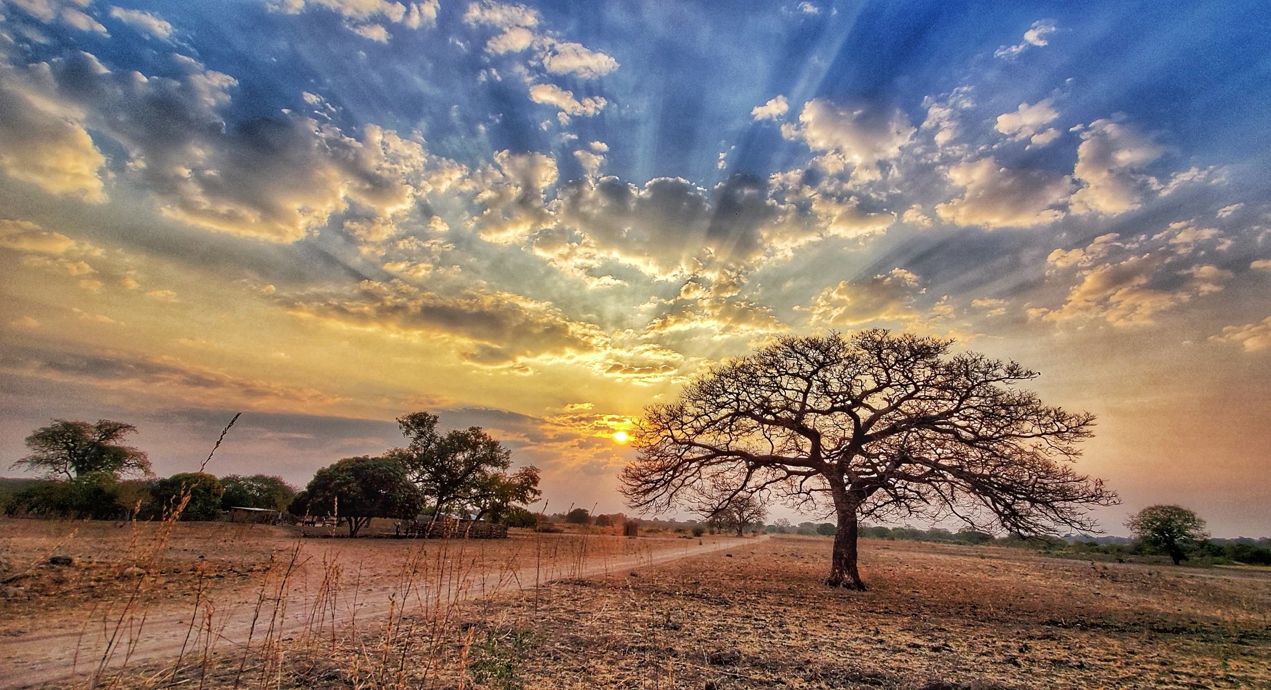 We were disappointed when we were delayed leaving Mongu, but we sure enjoyed this beautiful sunset as we drove into nangweshi. Disappointment…His appointment!
