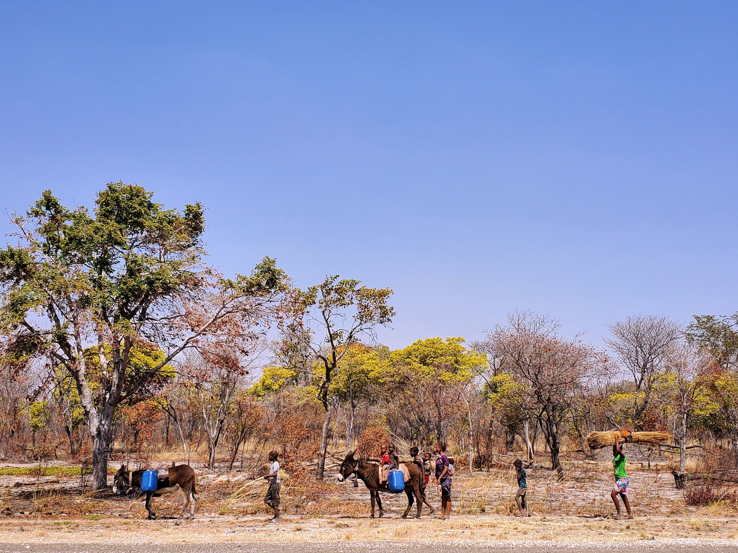 This typical khwe family was on the move along the highway.