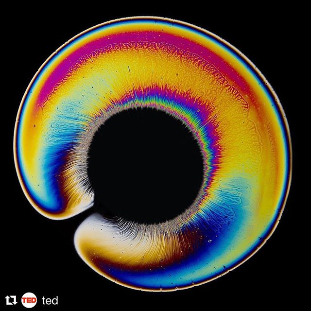 #sejtaks #staycurious #Repost @ted
・・・
This is a photo of oil. Artist Fabian Oefner likes to play with science, transforming everyday materials into something unrecognizable. In his photo series, Oil Spill, he experiments with the thin film of oil we