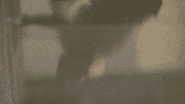 Limelight Reopening Video-low.gif