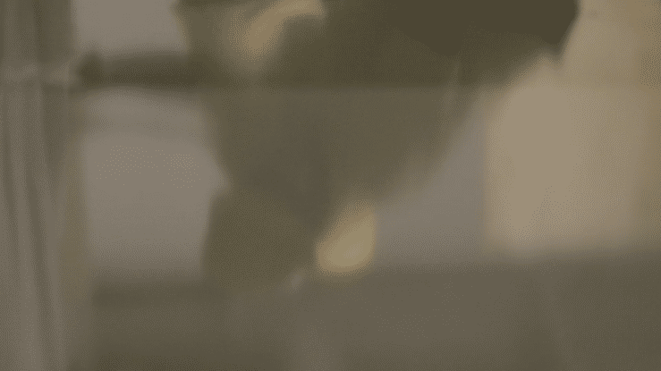 Limelight Reopening Video-high.gif
