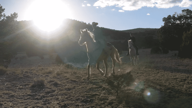 Alamocita_ Marvin's Legacy OFFICIAL-high.gif