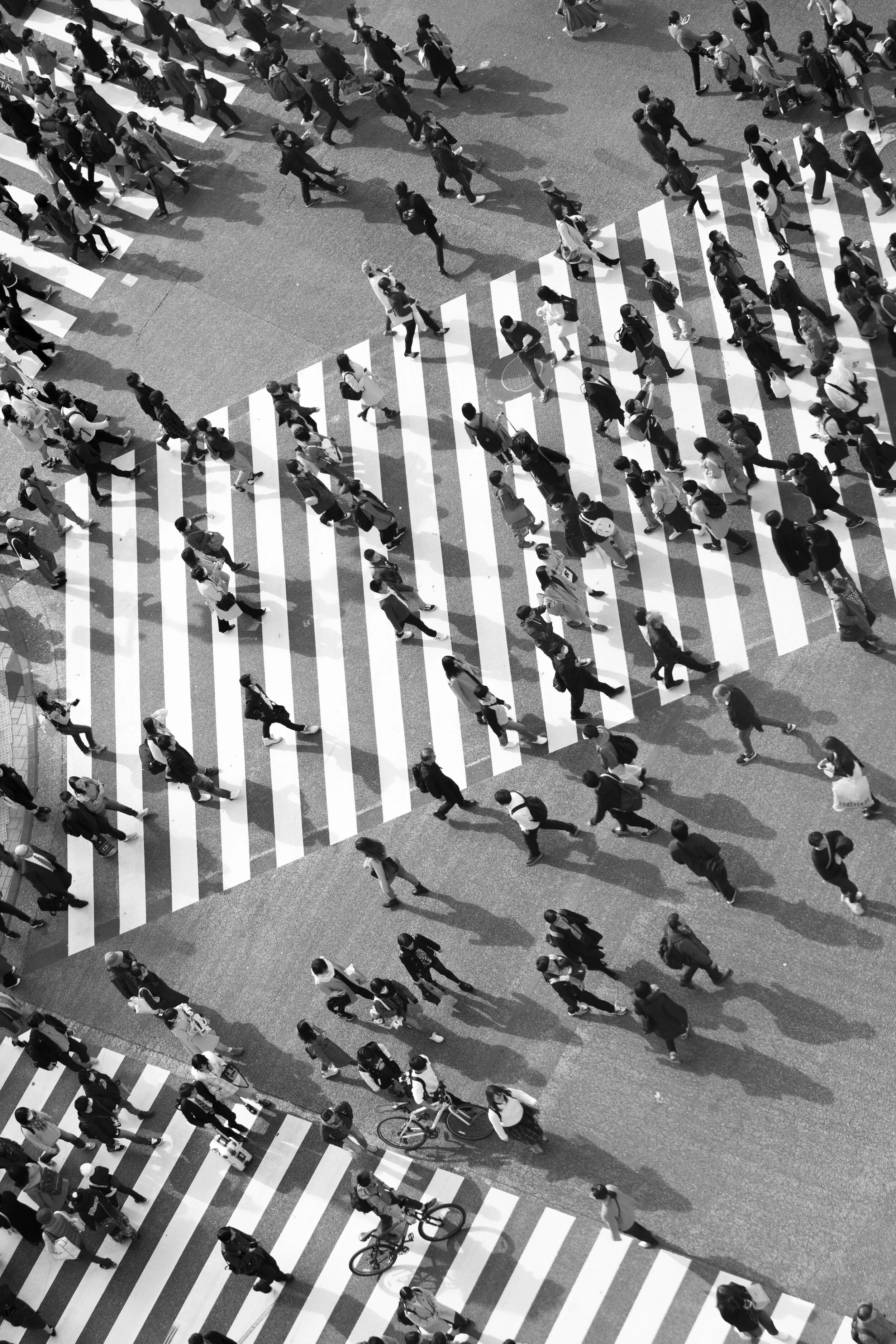 Sq-Japan-3-2.jpg