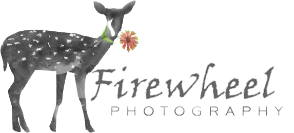 Firewheel Photography 