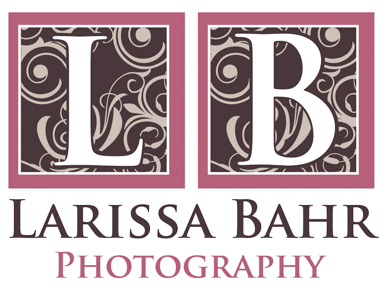 Larissa Bahr Photography