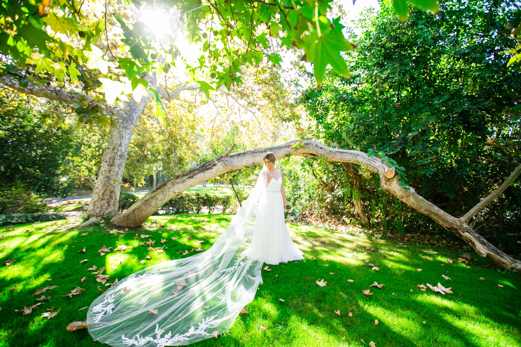 LarissaBahrPhotography-7500.jpg