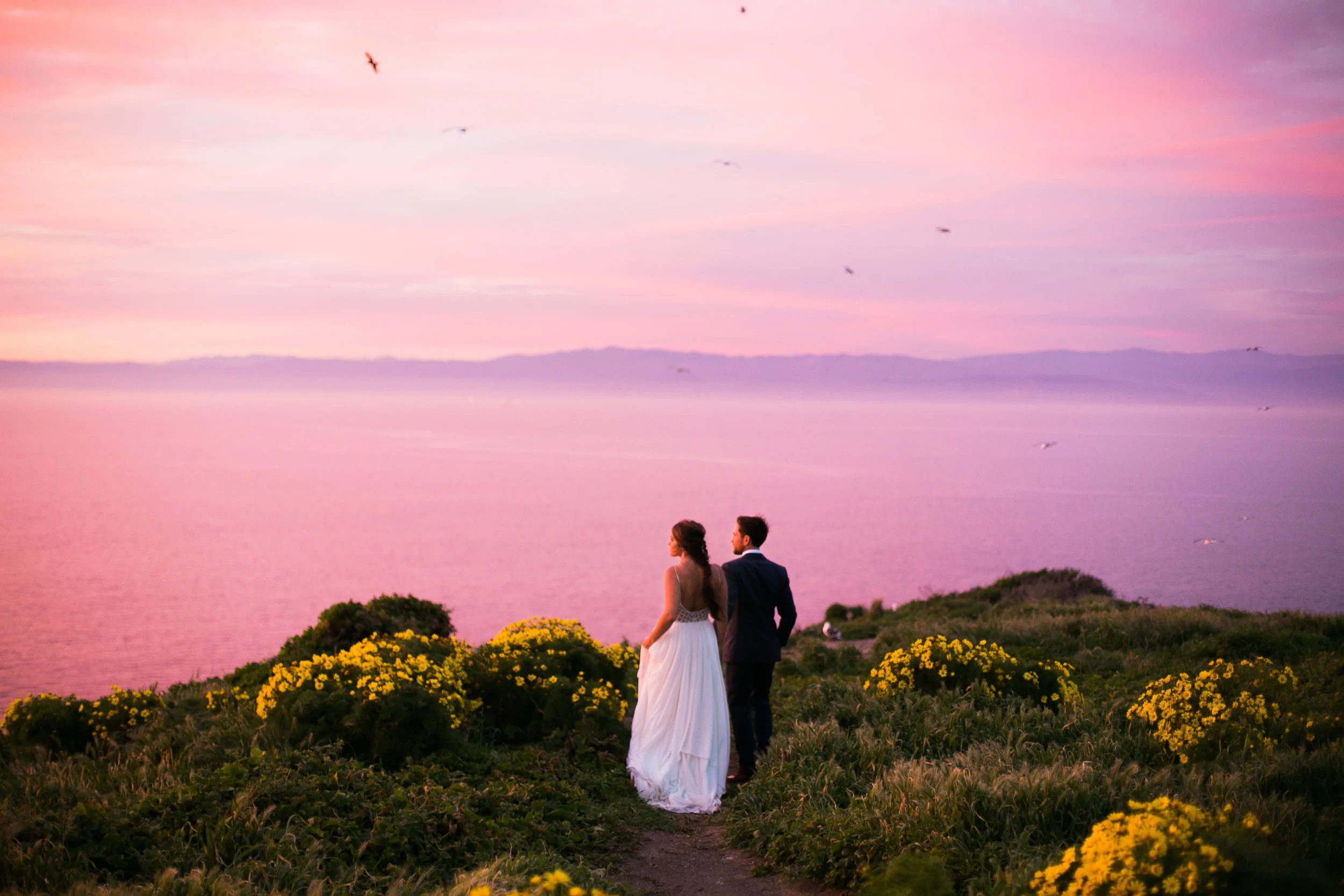 Channel Islands National Park