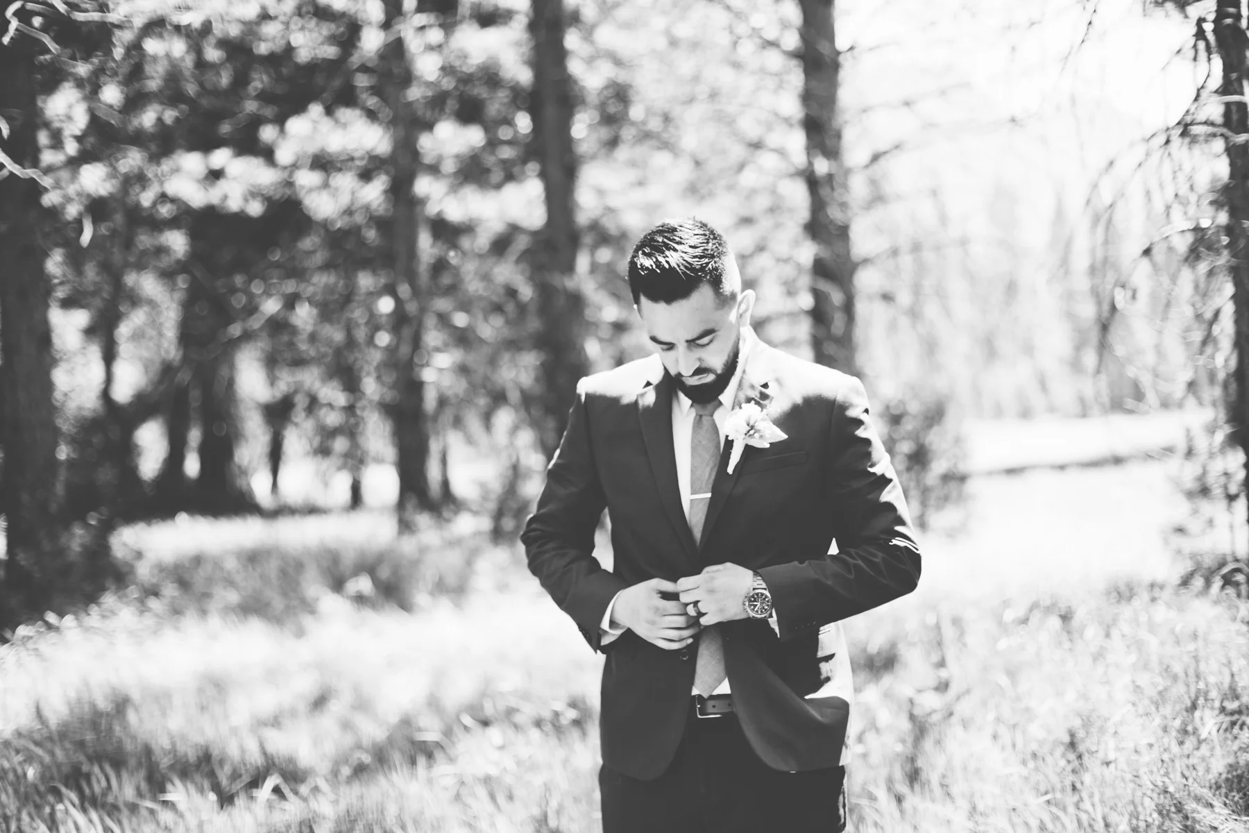 YosemiteWedding-8366.jpg