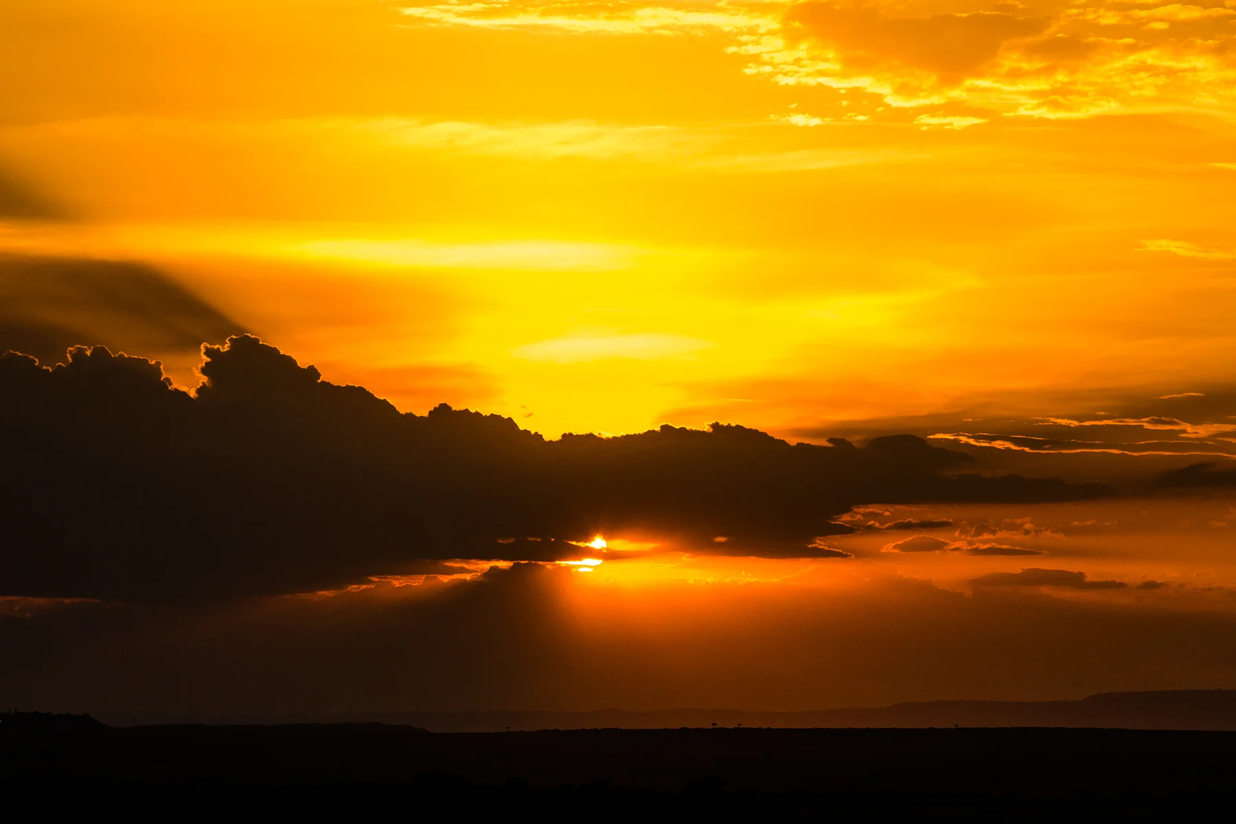 LarissaBahrPhotography-2013.jpg