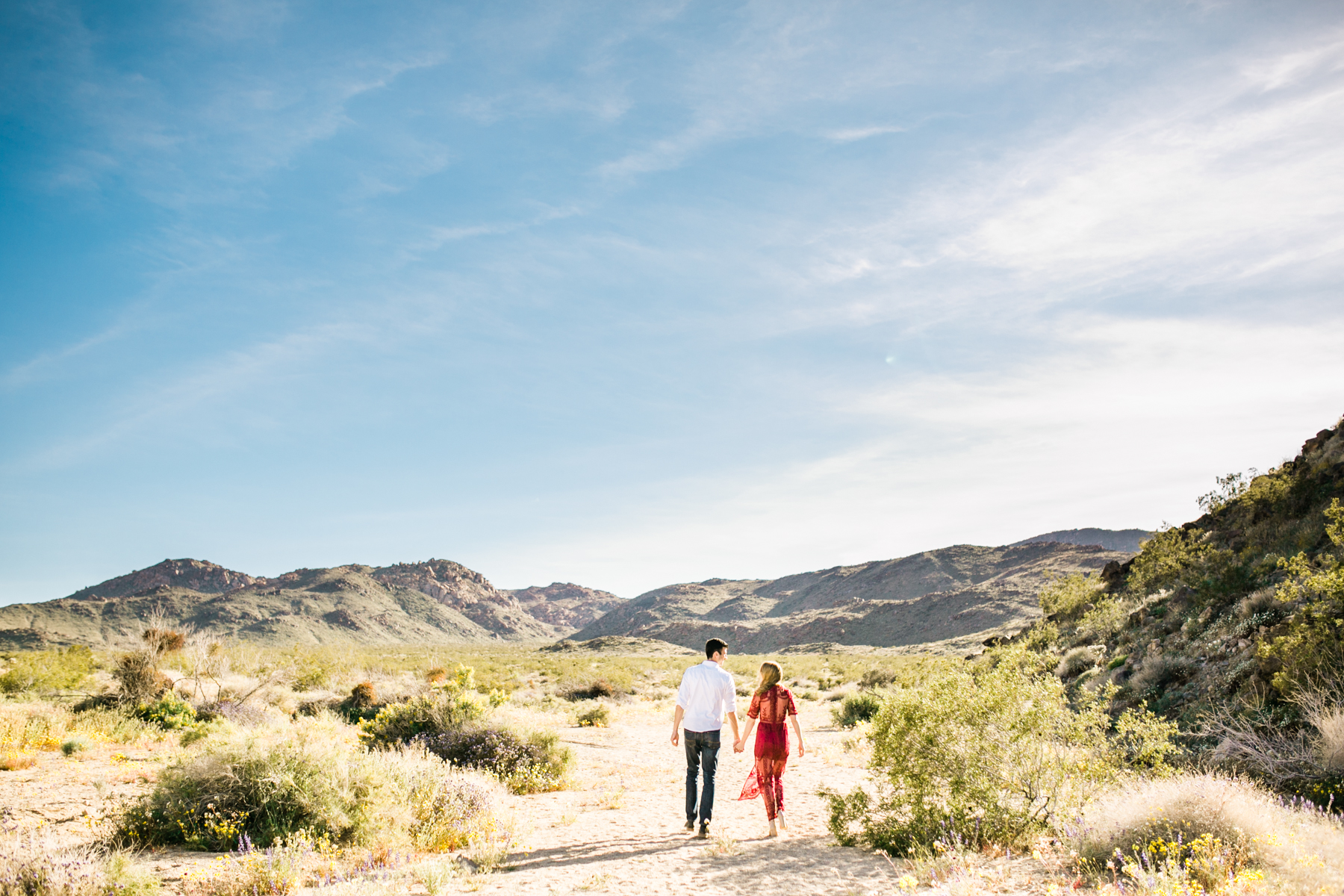 JoshuaTreeAnniversary-8521.jpg