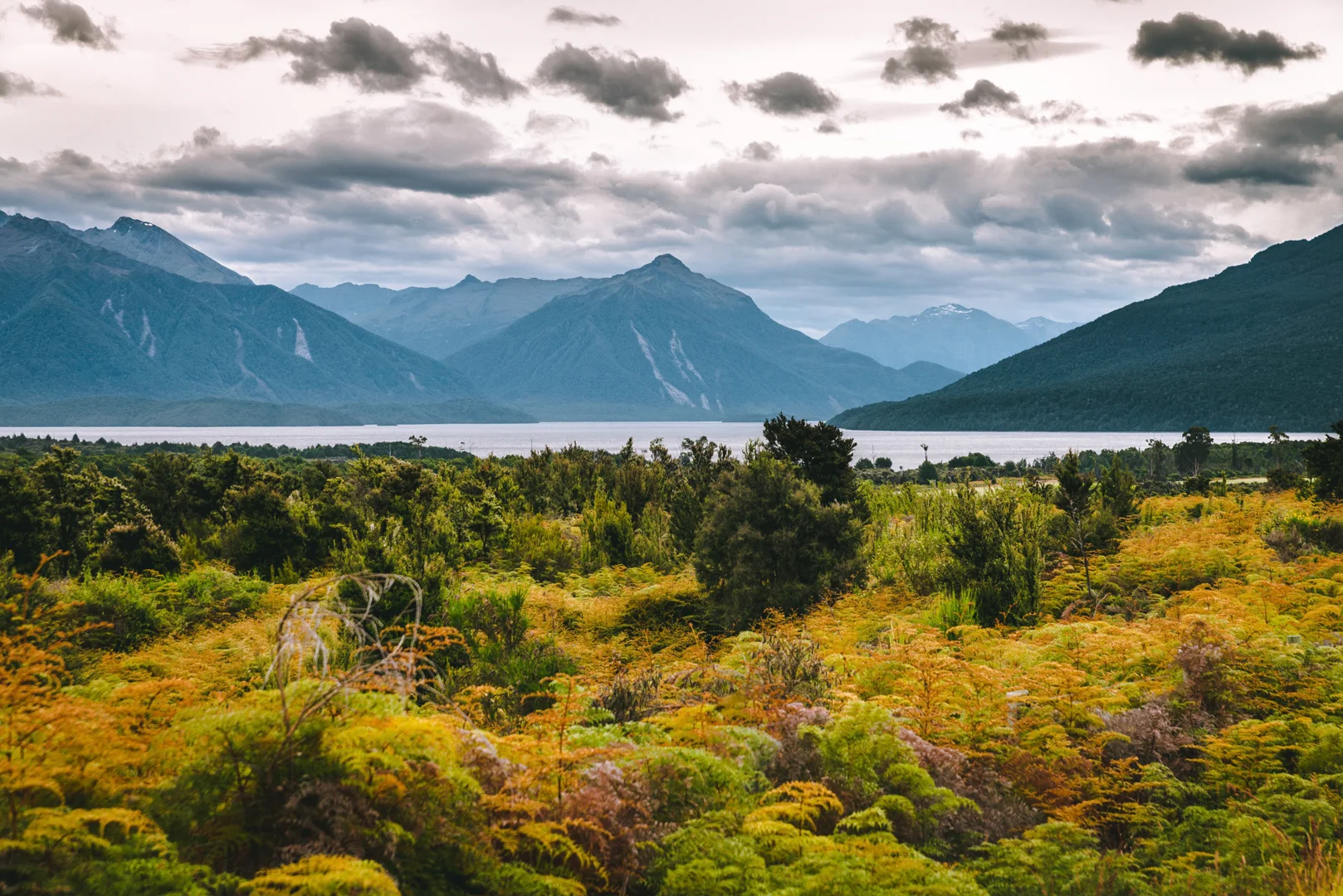 Colored nature