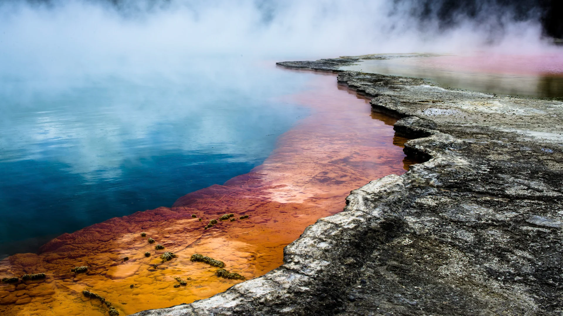Champagne pool