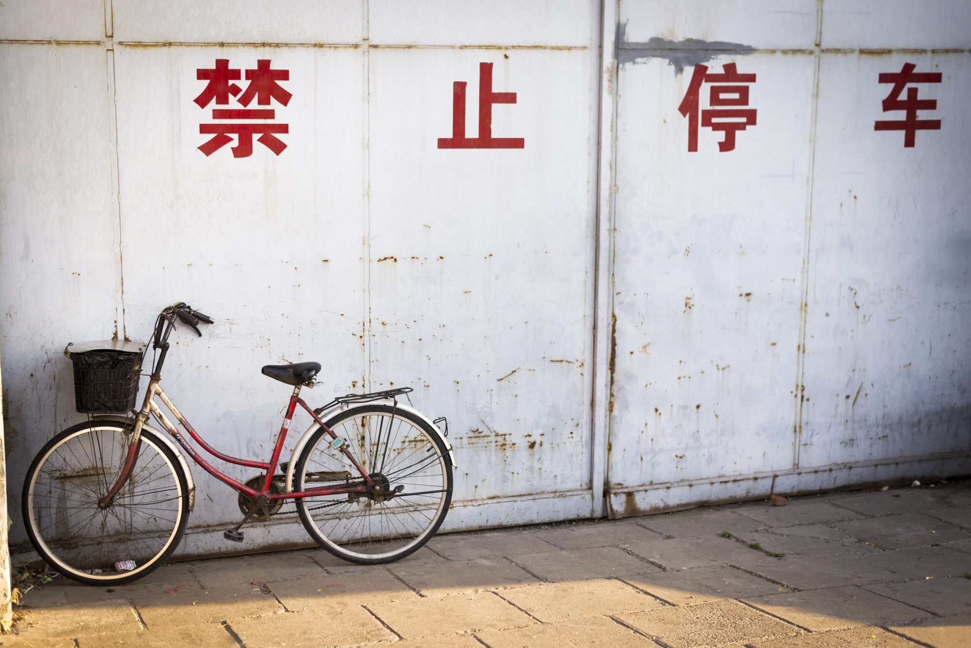 Raw Pékin_DSC3604Site Internet.jpg