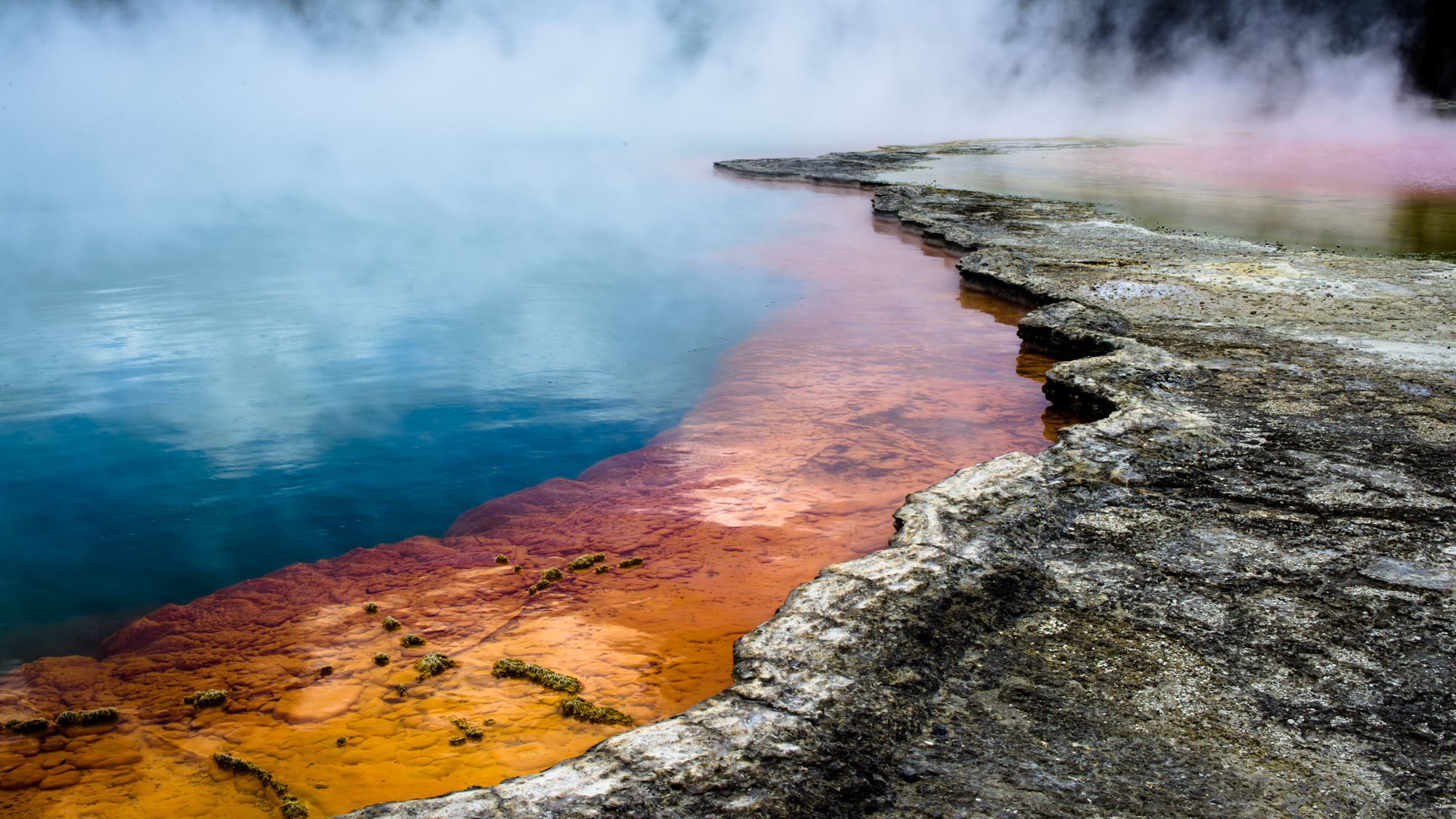 Rotorua_DSC7528Site Internet.jpg