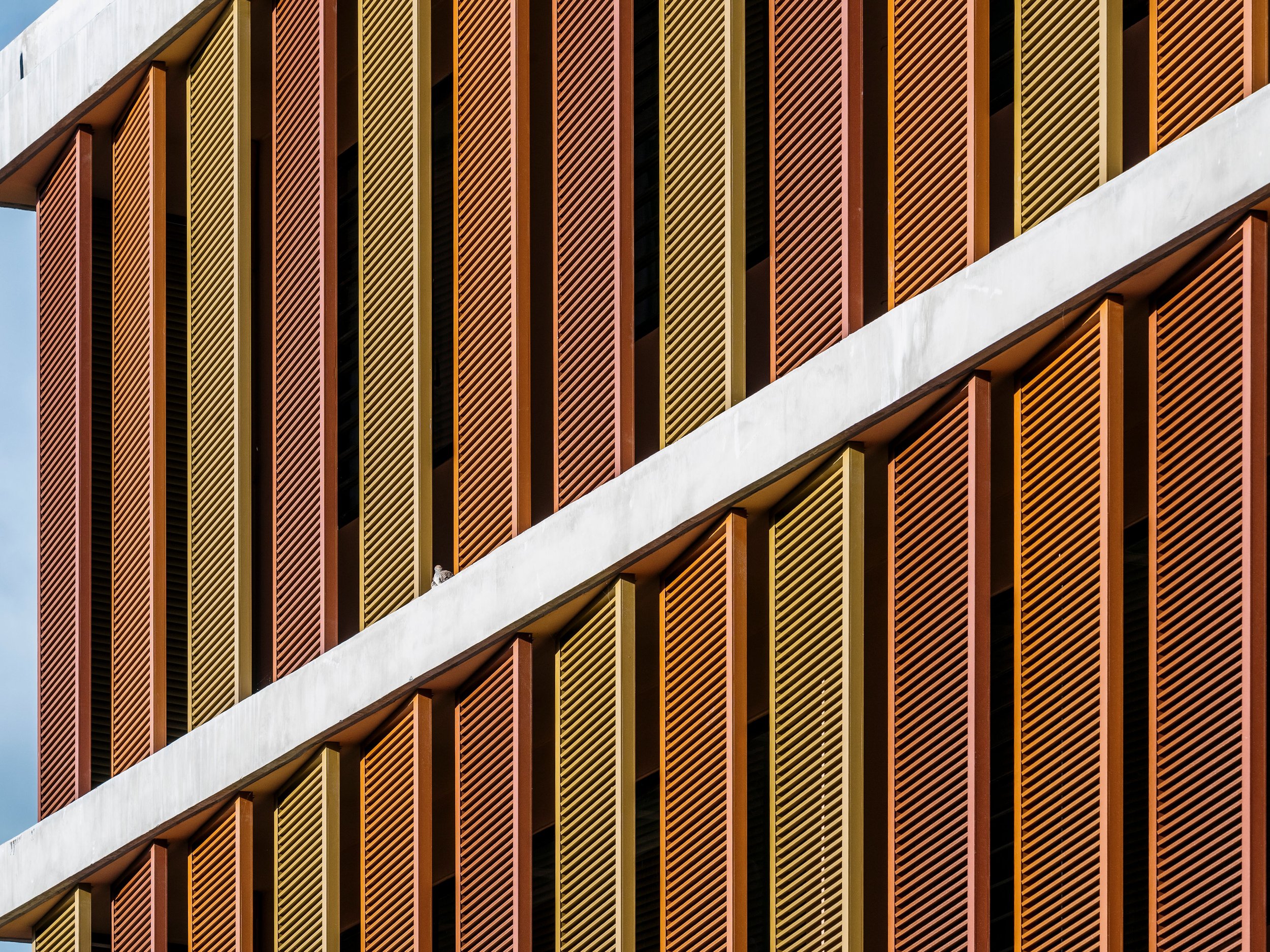 PHOTO_BOOK_ARCHITECTURE_CLEMENT_CHOPARD__CC14956-1.jpg