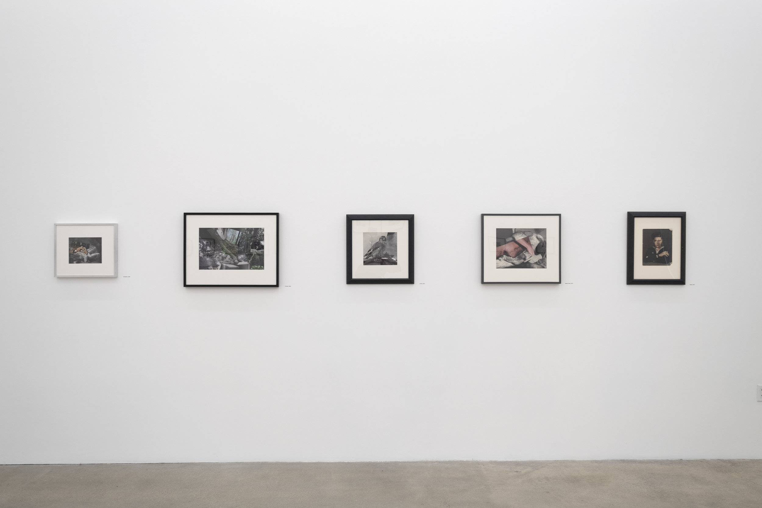O'Reilly Exhibition 2.jpg