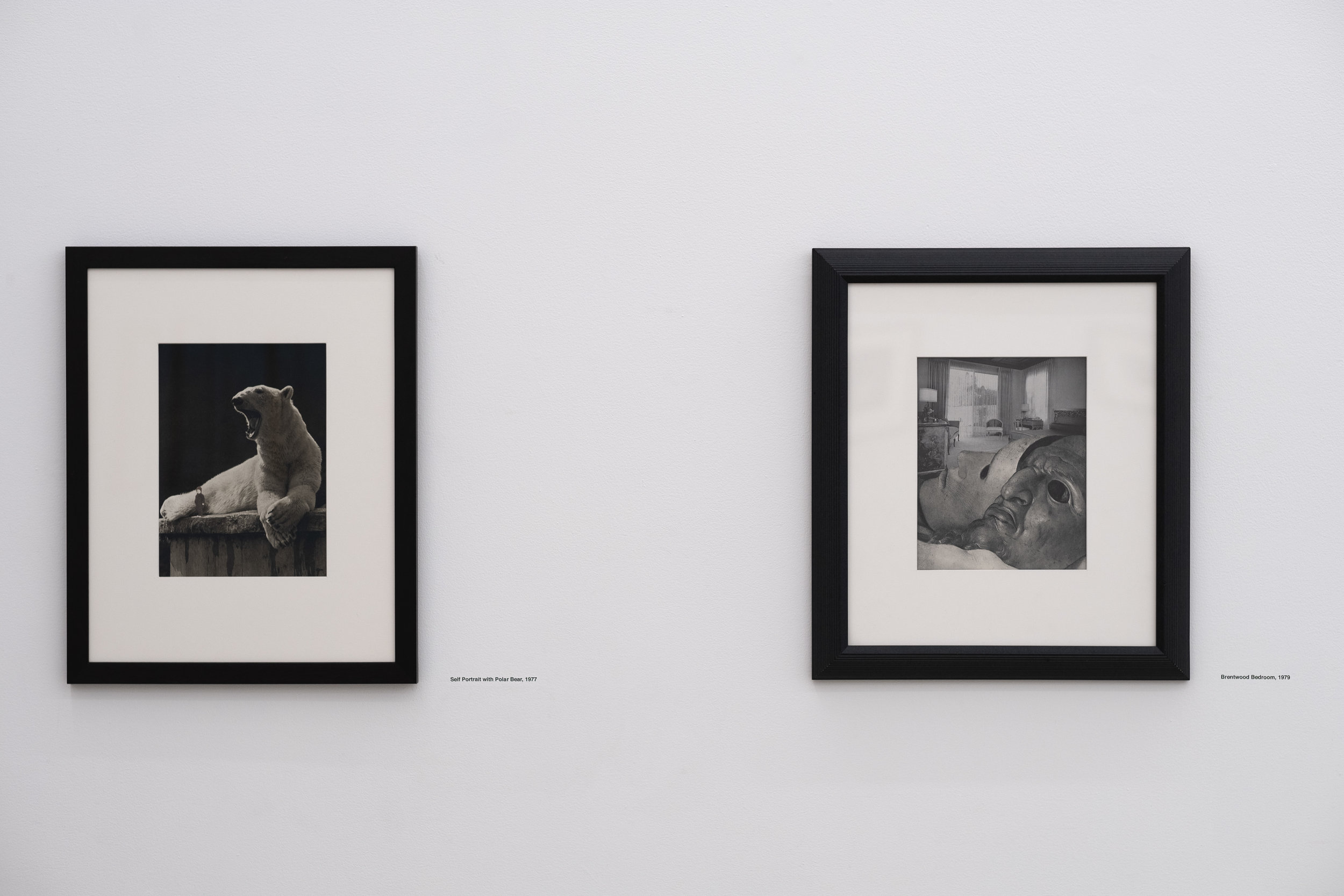 O'Reilly Exhibition 9.jpg