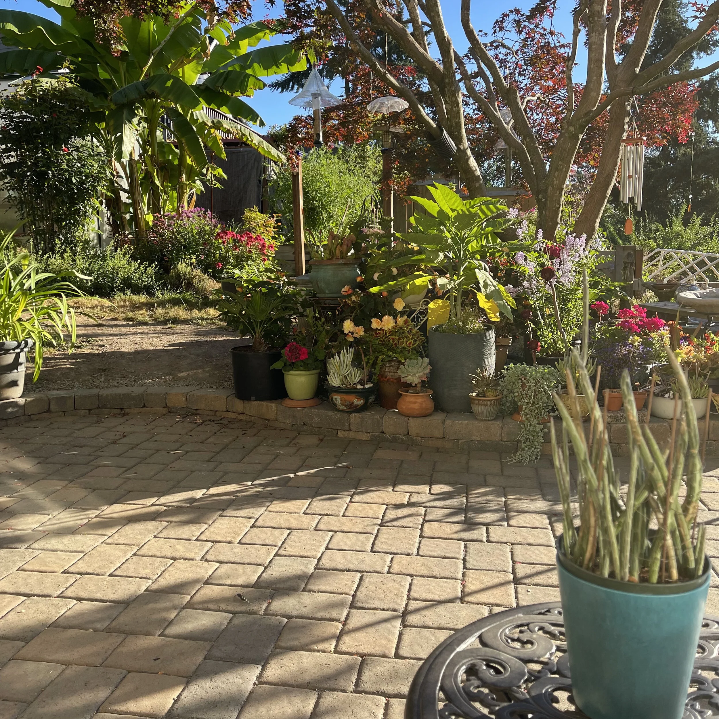 Calming the Chaos of Creativity