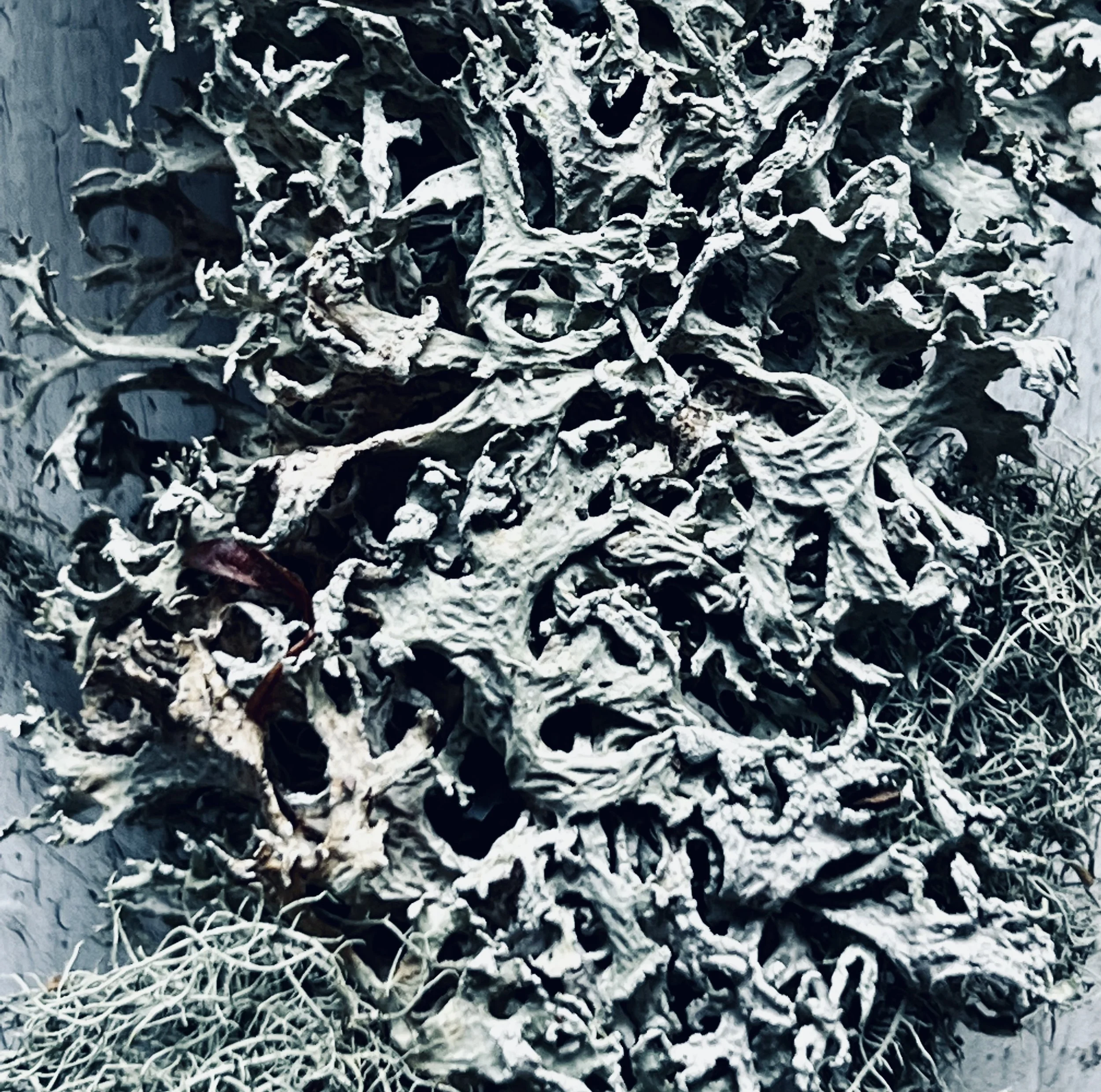 Our Ancestral Inner Landscape