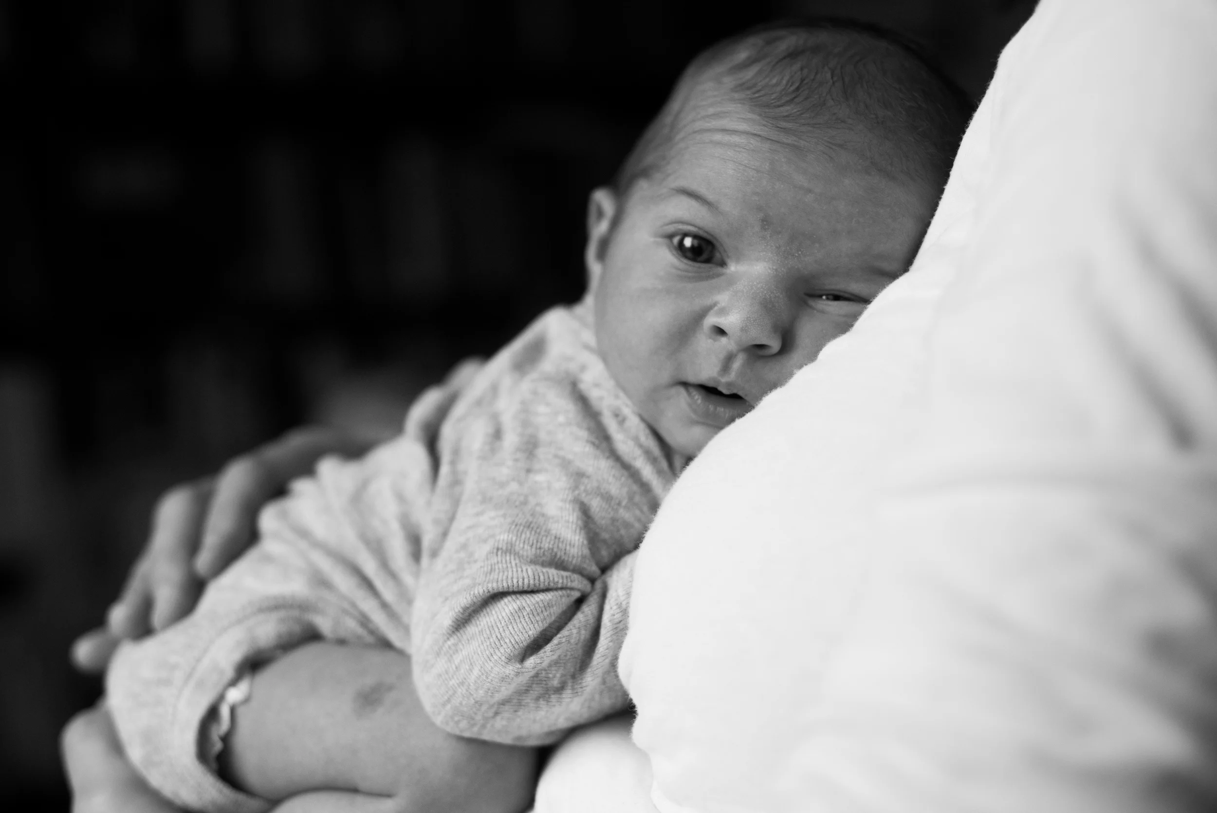Northern Virginia Family Photographer  Vienna Virginia Family Photographer  Vienna Virginia Newborn Photographer