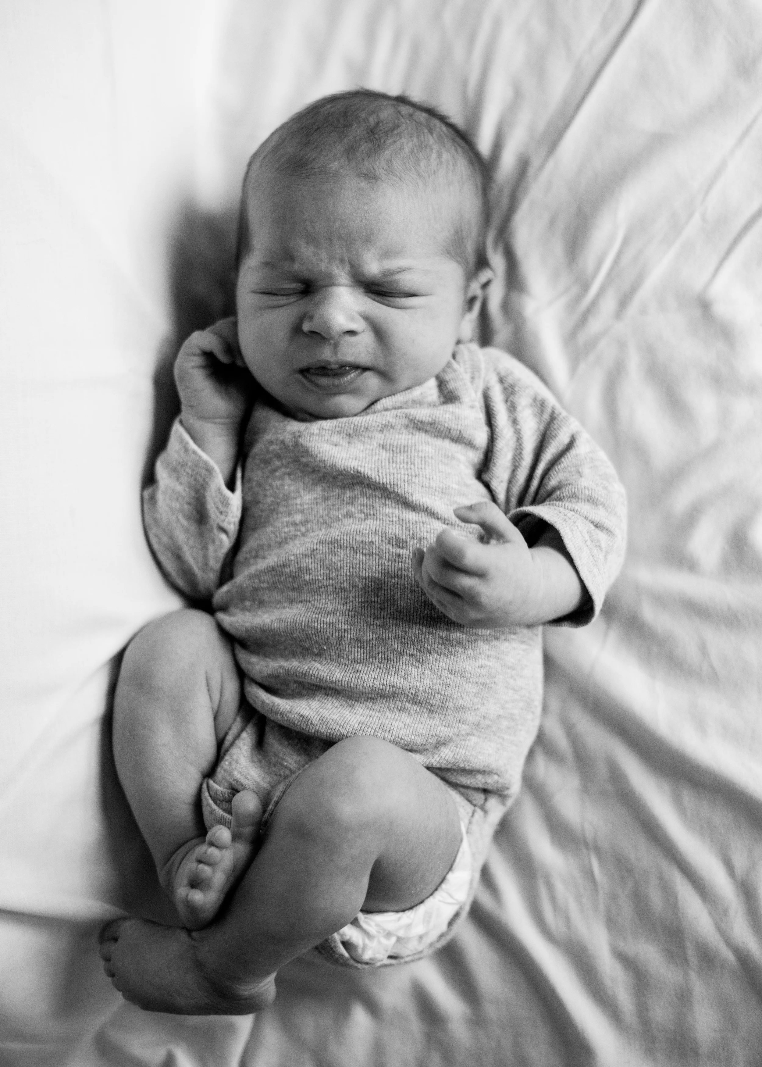 Northern Virginia Family Photographer  Vienna Virginia Family Photographer  Vienna Virginia Newborn Photographer