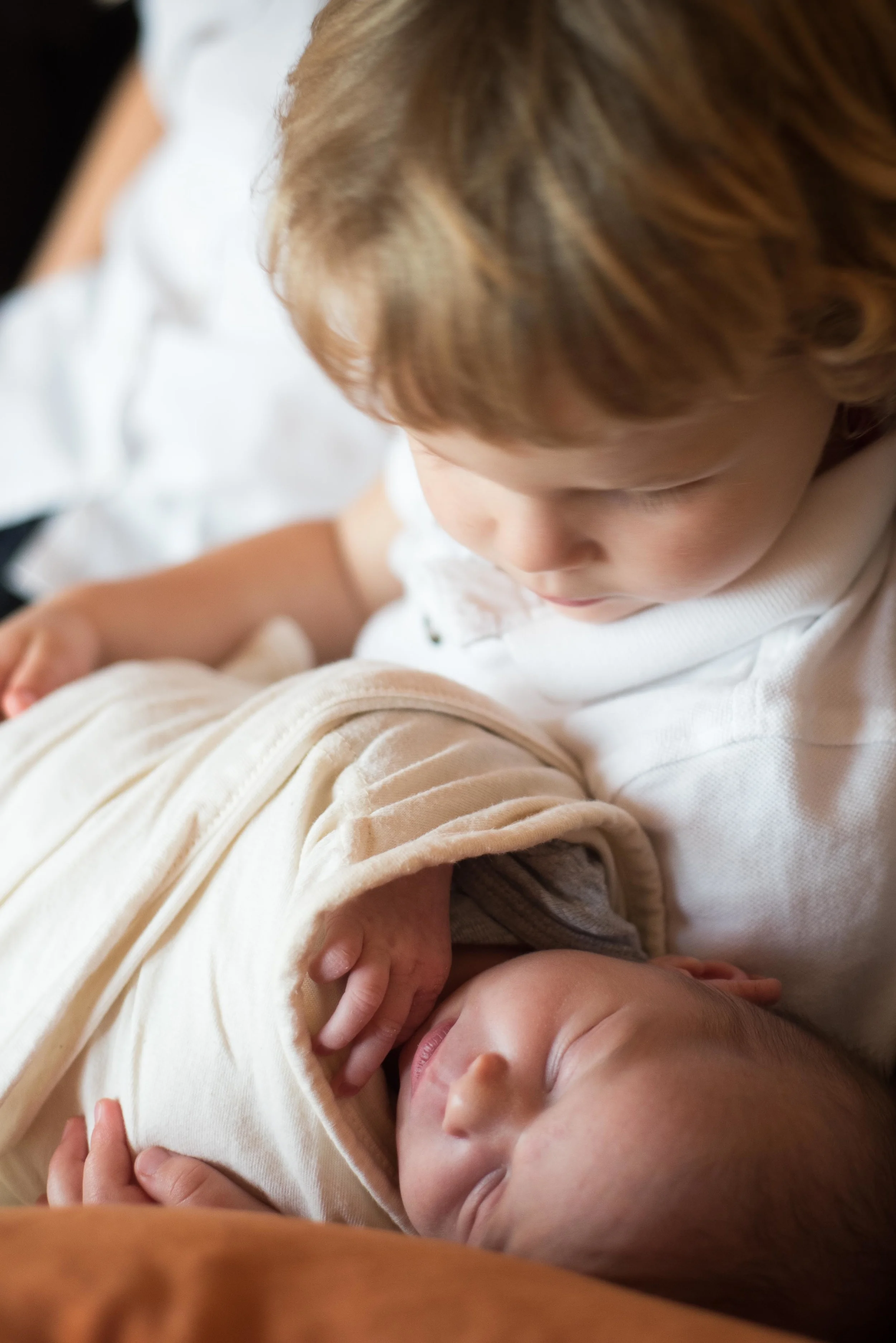 Northern Virginia Family Photographer  Vienna Virginia Family Photographer  Vienna Virginia Newborn Photographer
